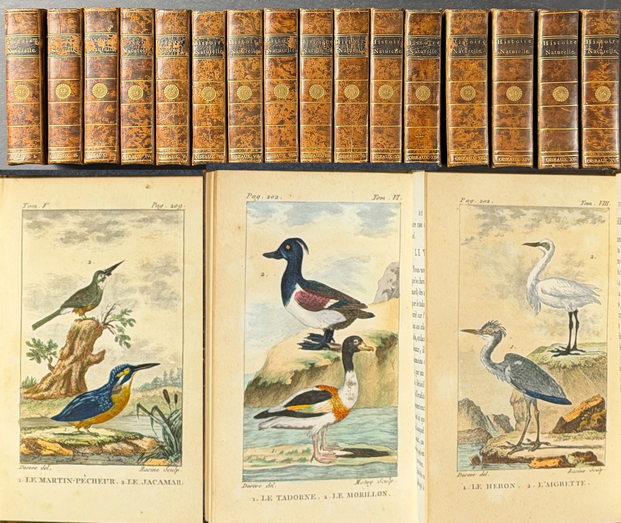 Buffon's Histoire Naturelle (Birds) - 16 Volumes with 123 Originally Hand Colored Engravings