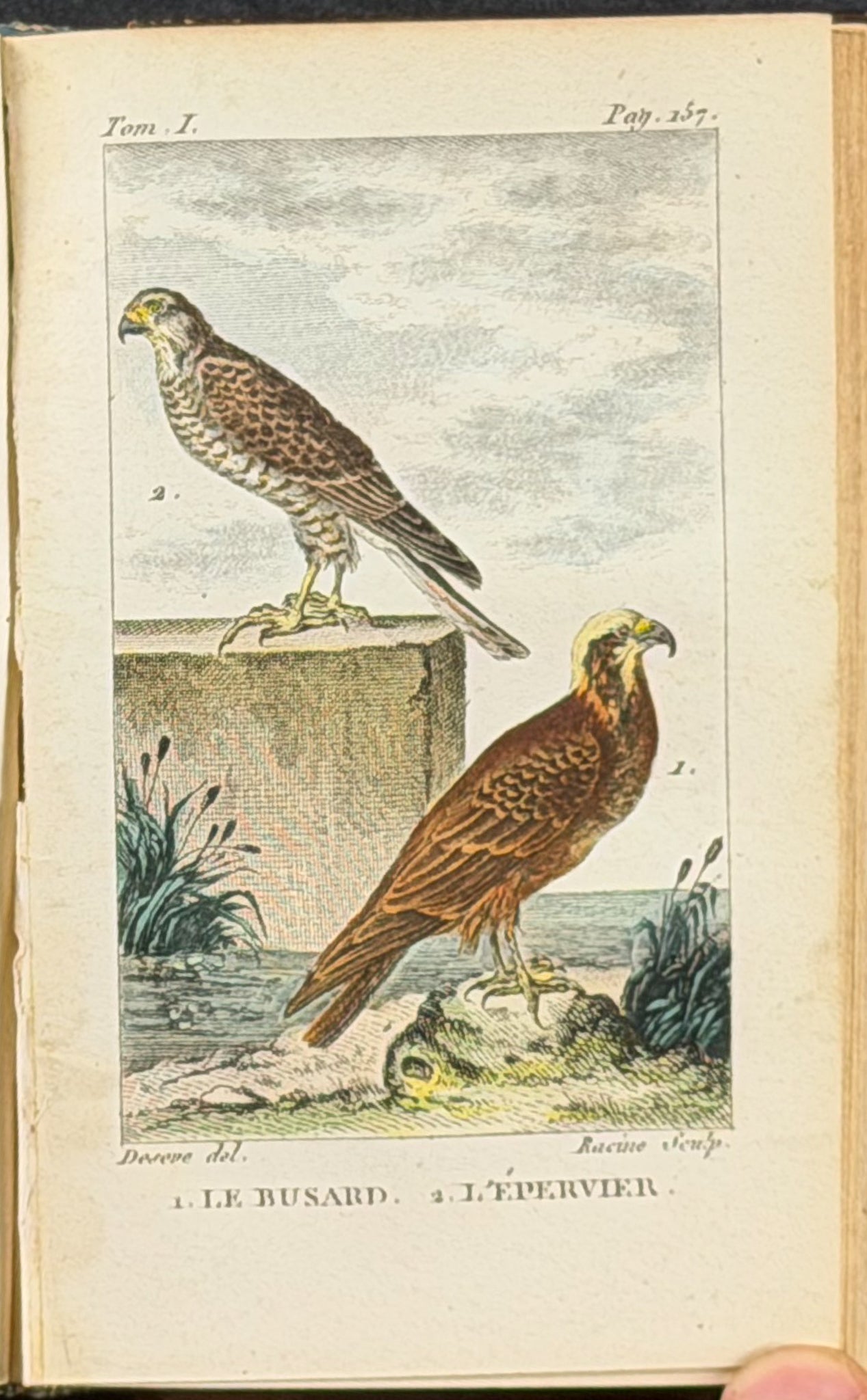Buffon's Histoire Naturelle - 16 Volumes with 123 Originally Hand Colored Engravings