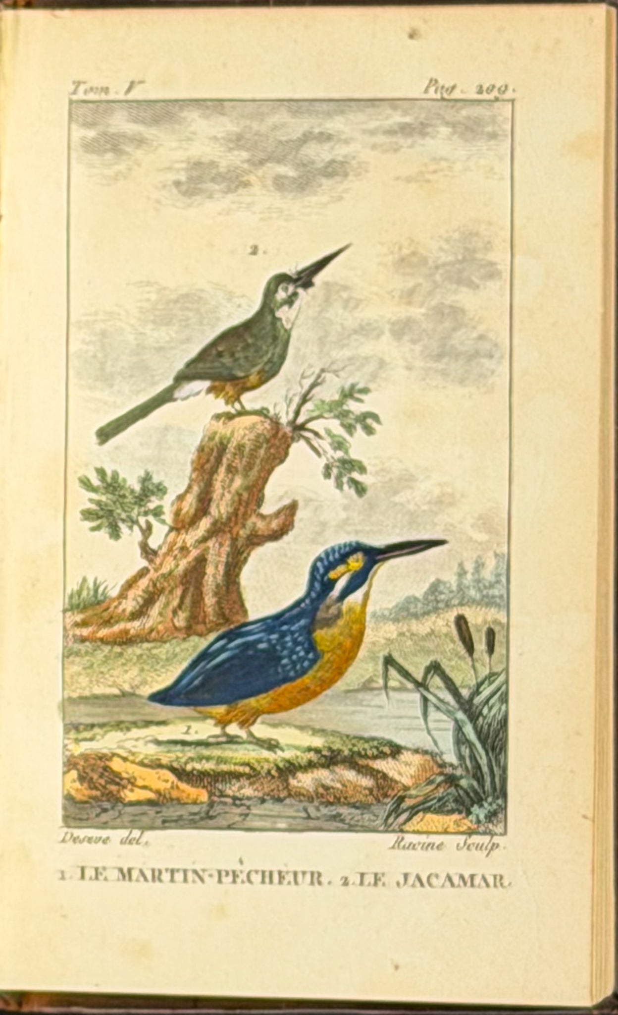 Buffon's Histoire Naturelle - 16 Volumes with 123 Originally Hand Colored Engravings