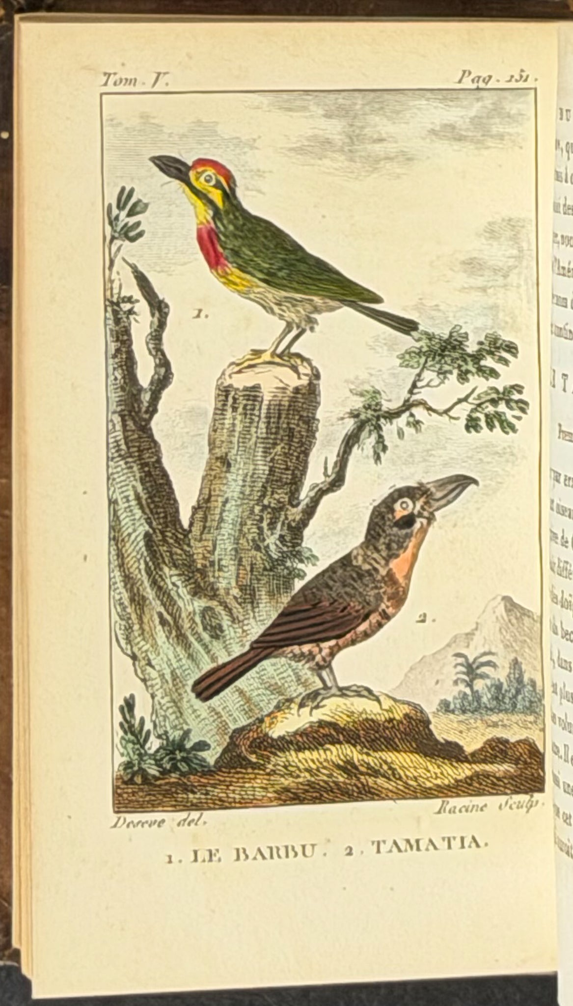 Buffon's Histoire Naturelle - 16 Volumes with 123 Originally Hand Colored Engravings