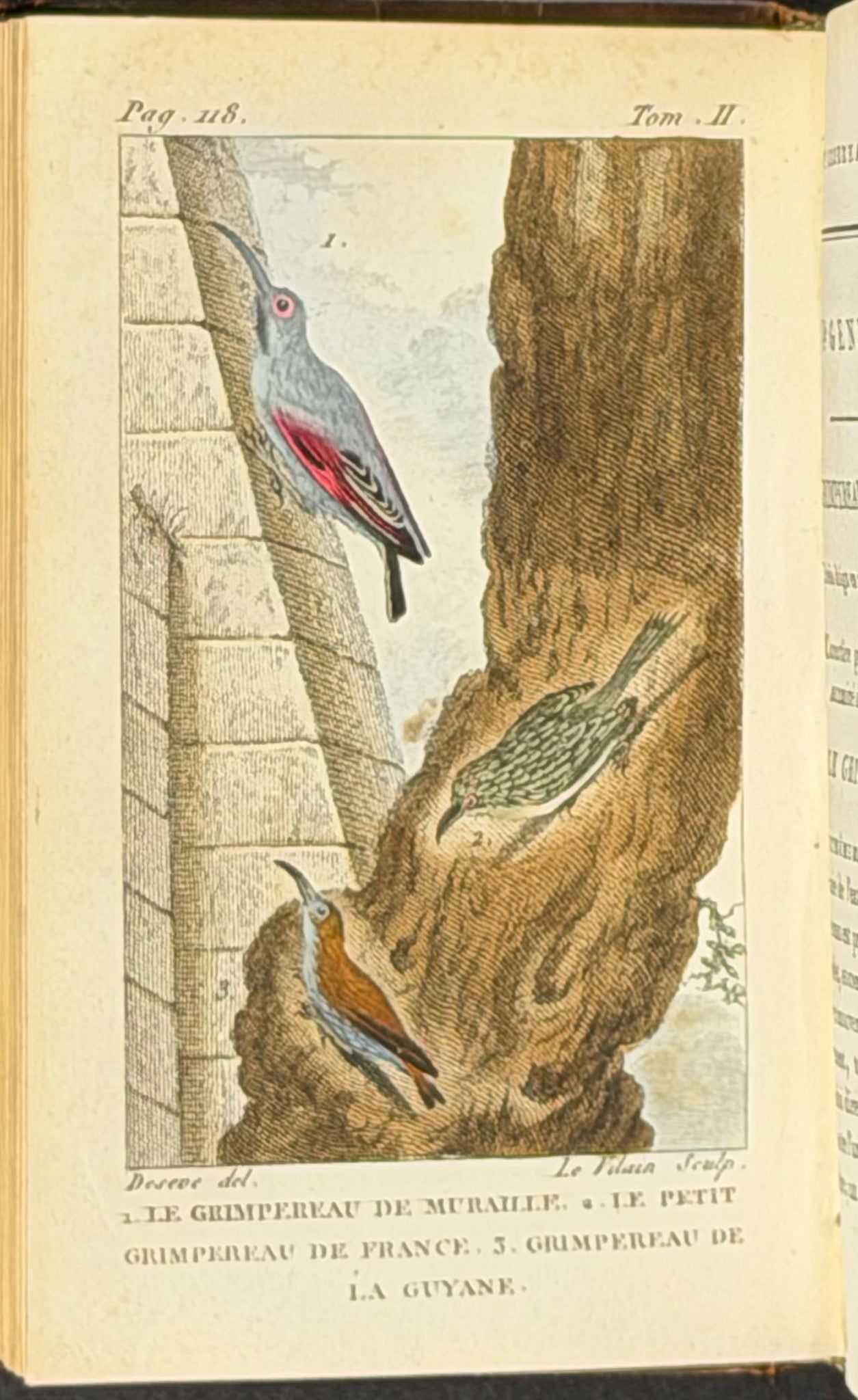 Buffon's Histoire Naturelle - 16 Volumes with 123 Originally Hand Colored Engravings