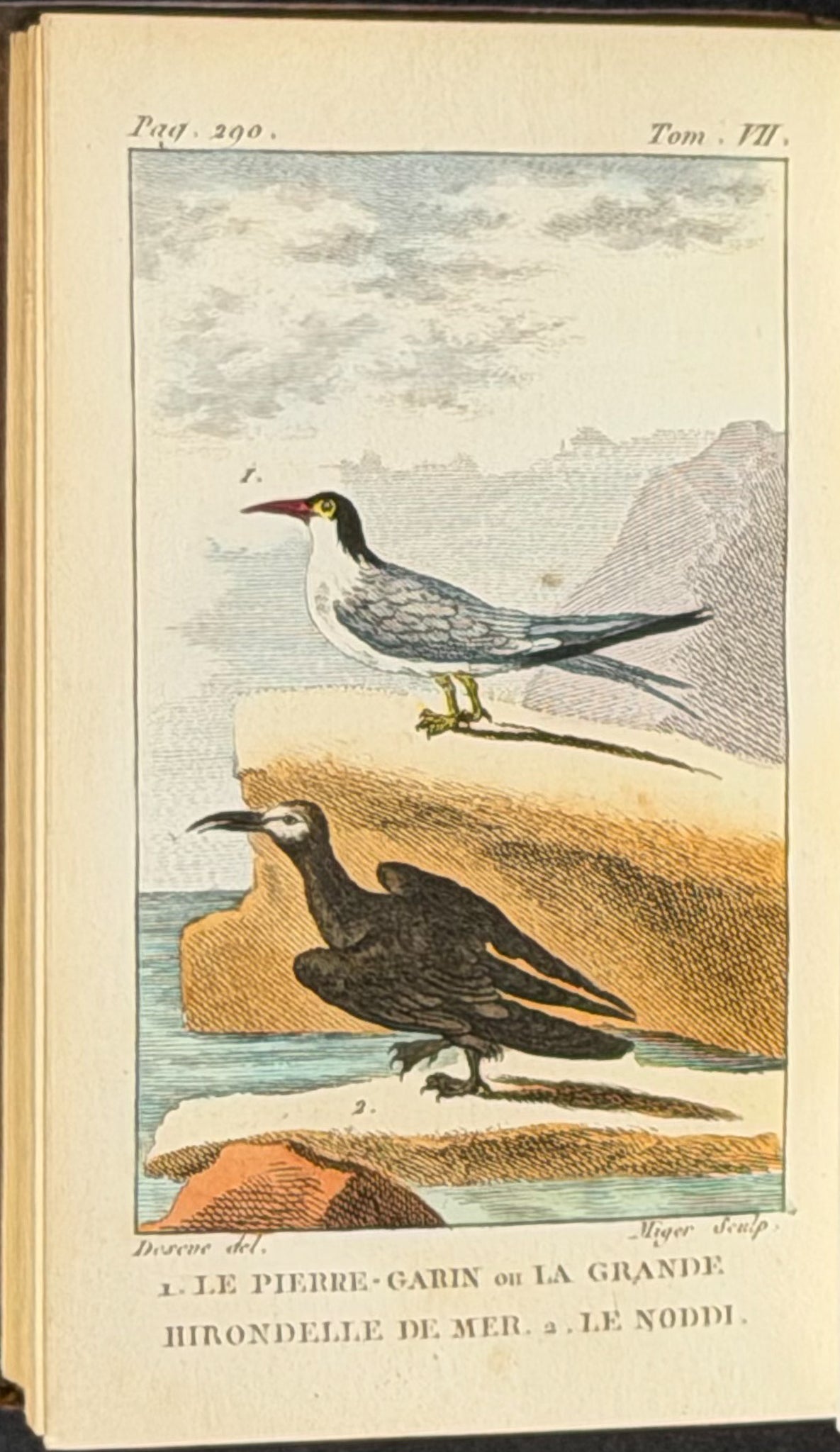 Buffon's Histoire Naturelle - 16 Volumes with 123 Originally Hand Colored Engravings