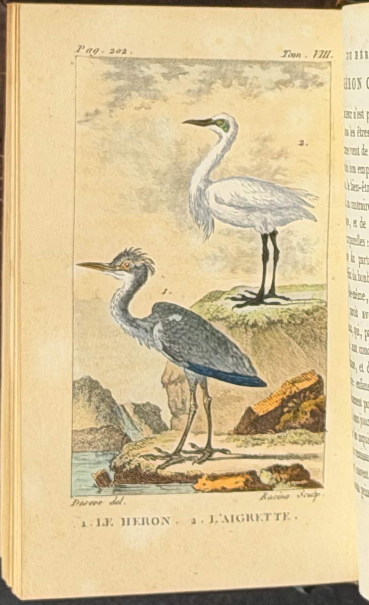 Buffon's Histoire Naturelle - 16 Volumes with 123 Originally Hand Colored Engravings