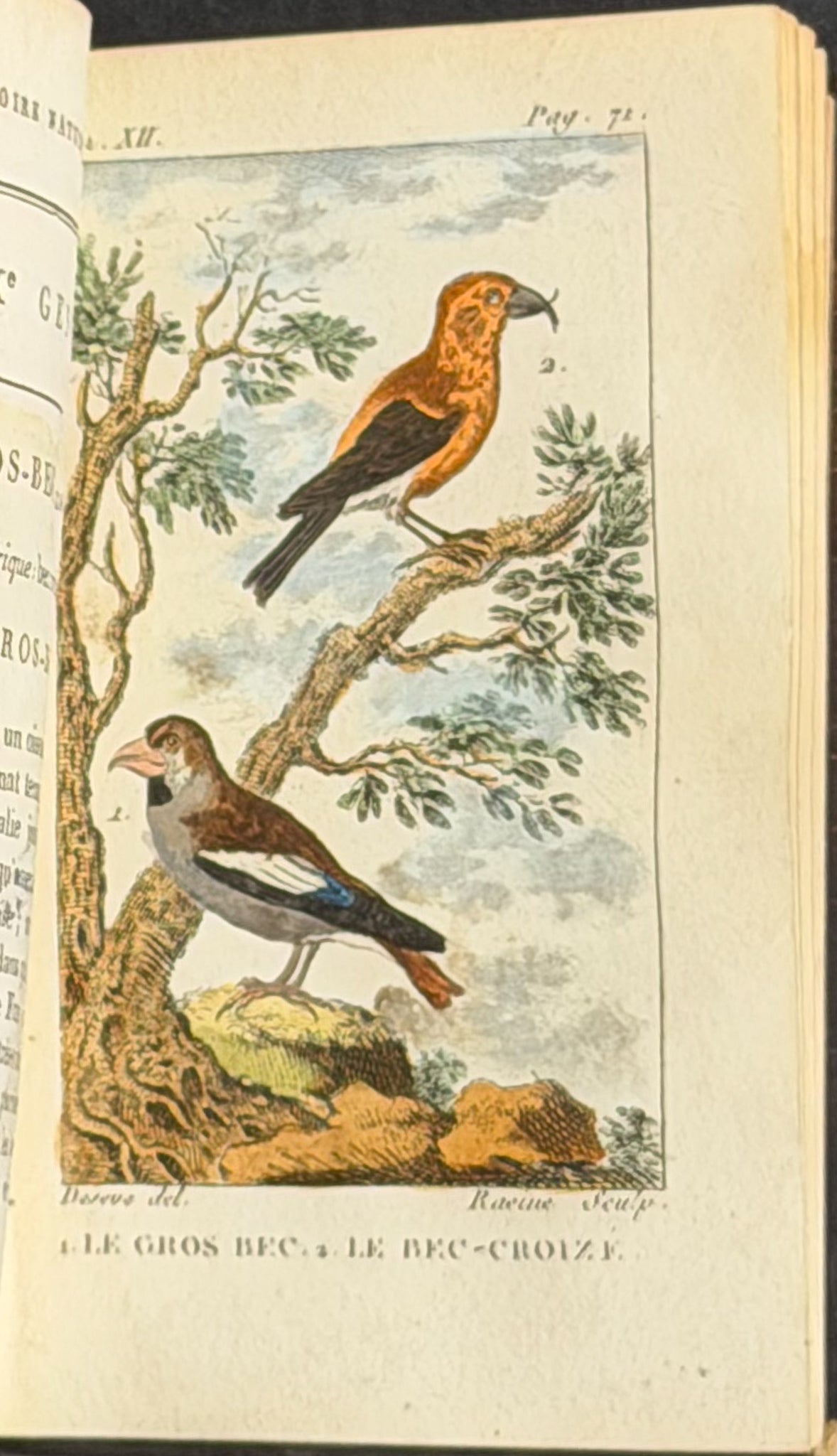 Buffon's Histoire Naturelle - 16 Volumes with 123 Originally Hand Colored Engravings