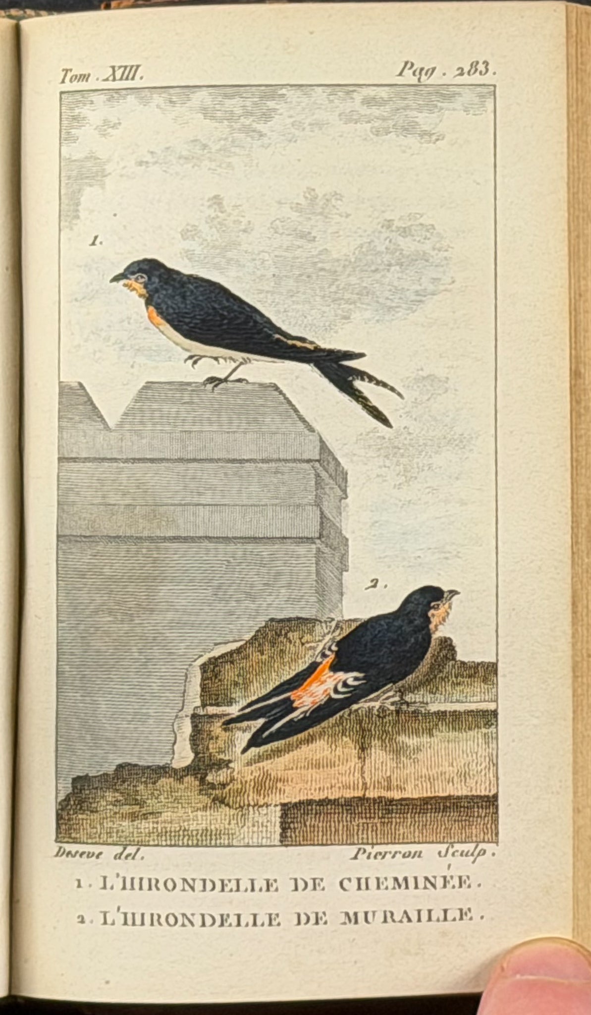 Buffon's Histoire Naturelle - 16 Volumes with 123 Originally Hand Colored Engravings