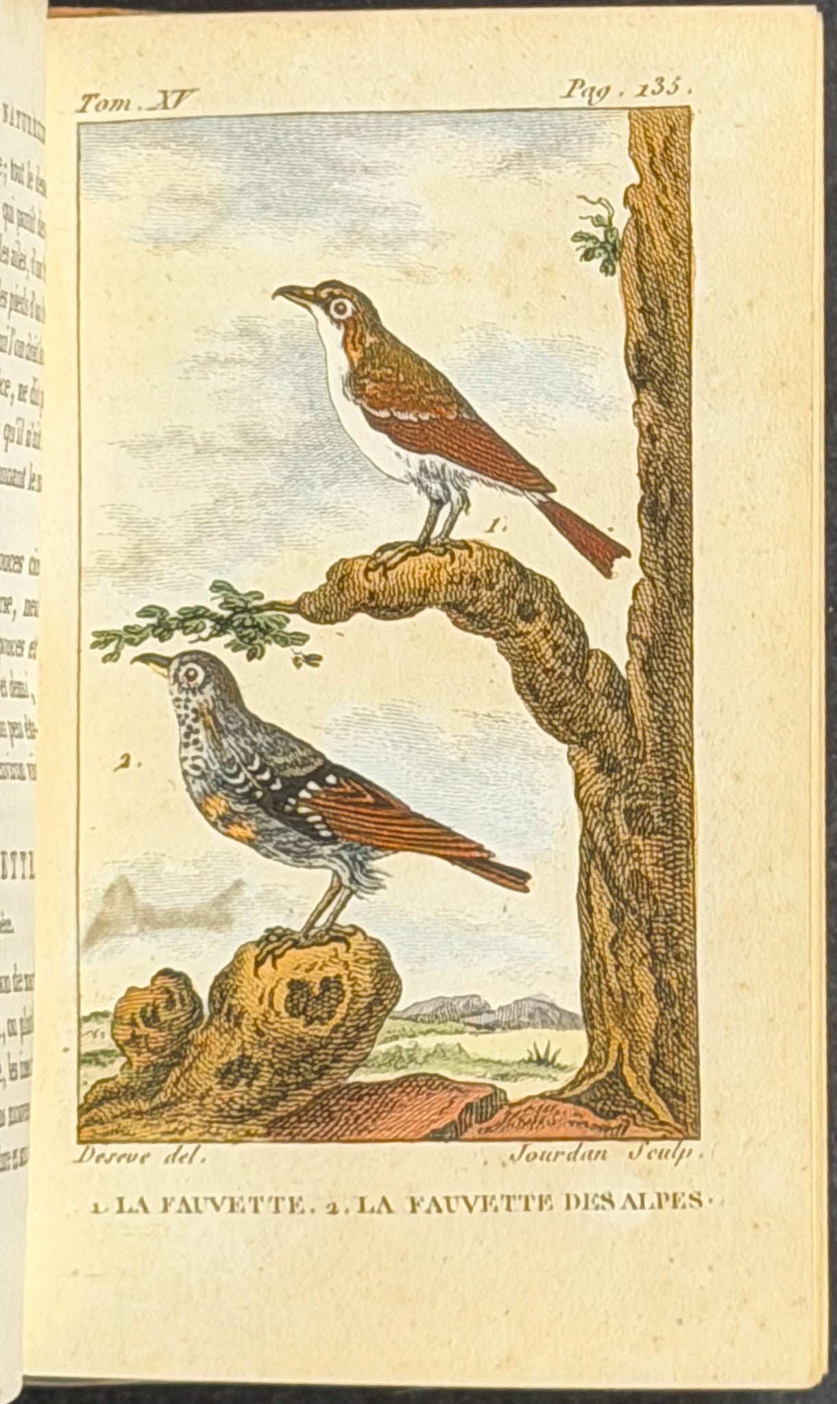 Buffon's Histoire Naturelle - 16 Volumes with 123 Originally Hand Colored Engravings