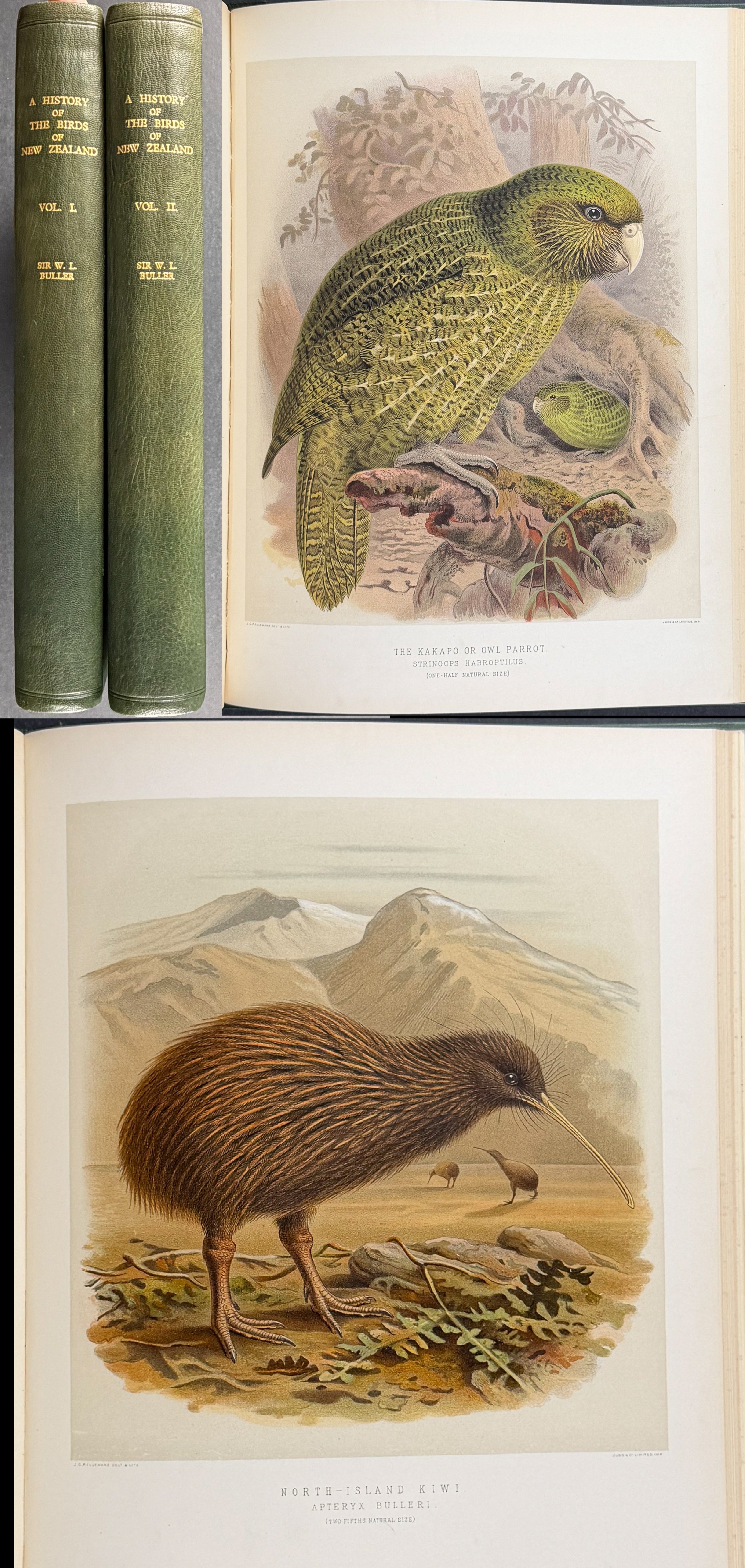 Buller & Keulemans's Birds of New Zealand - Two Volumes with 48 Colored Lithographs