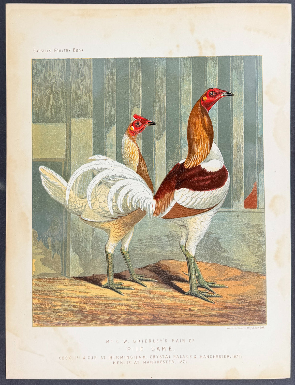 Chicken - Pair of Pile Game