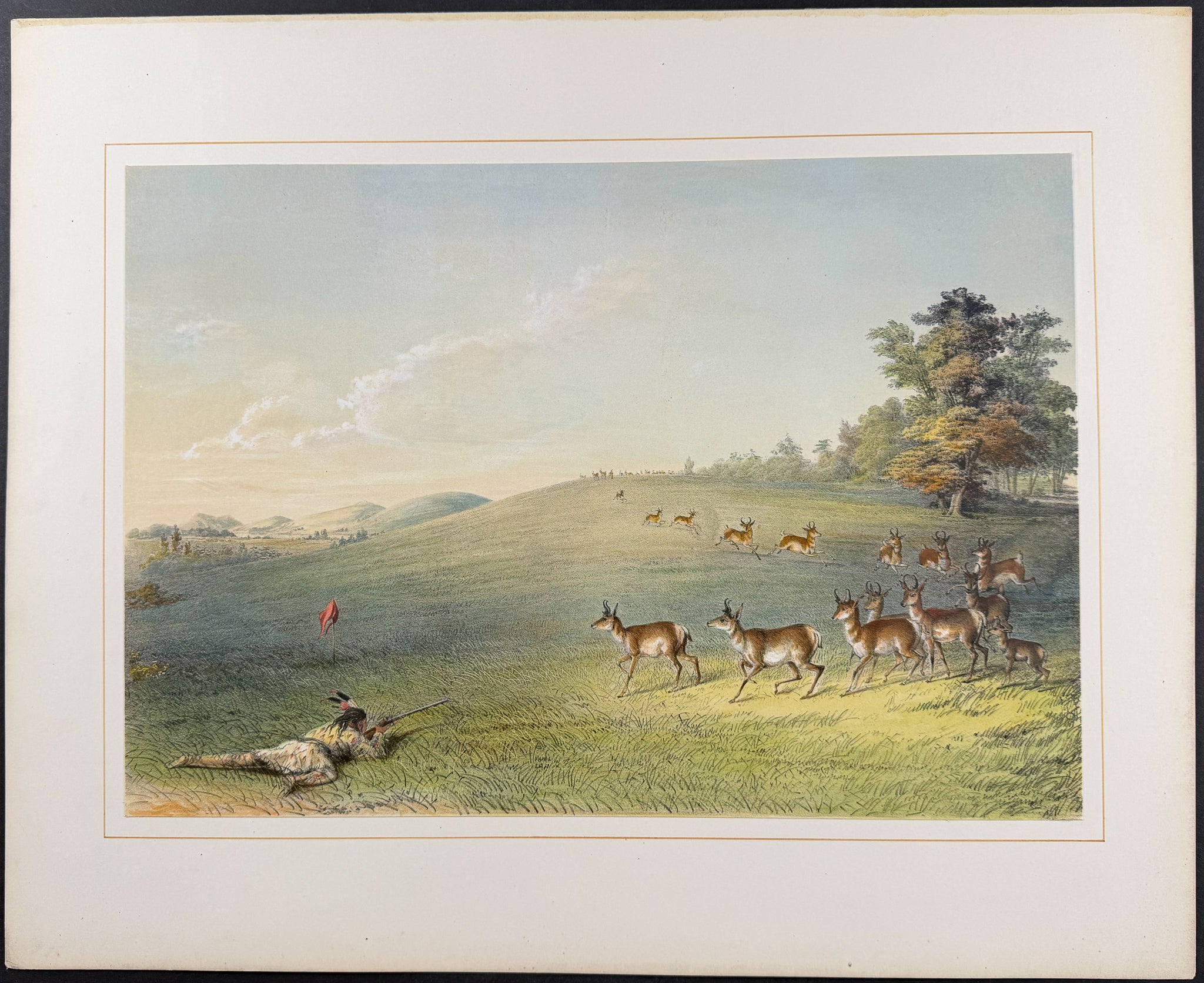 Antelope Shooting