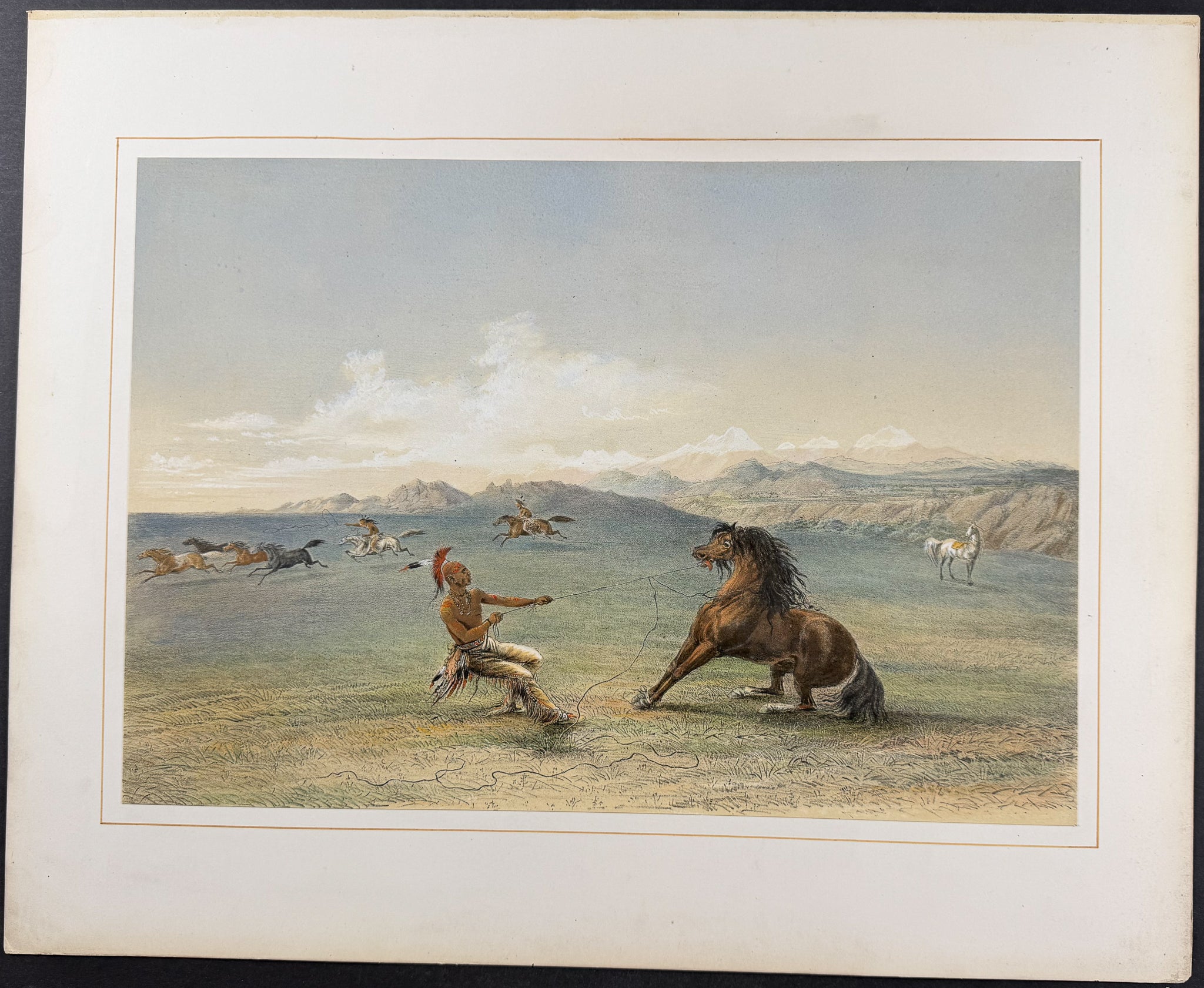 Catching the Wild Horse