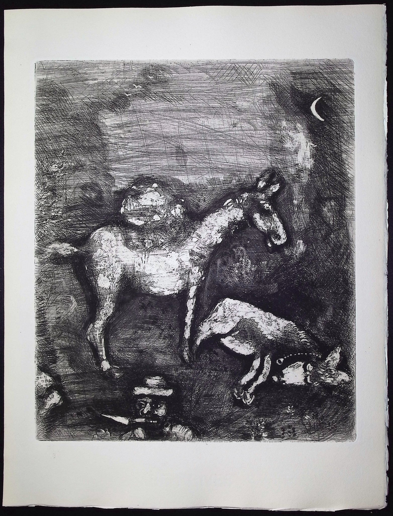 The Two Mules [Les deux Mulets]