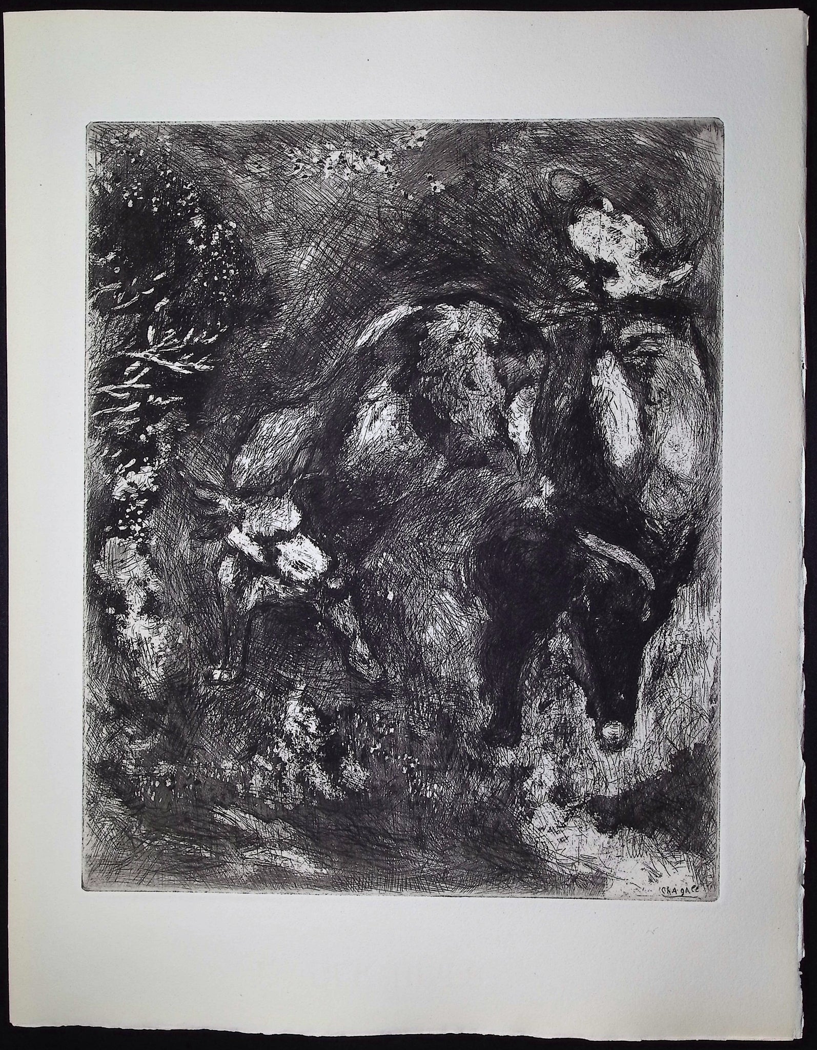 The Two Bulls and a Frog [Les deux Taureaux & une Grenouille]