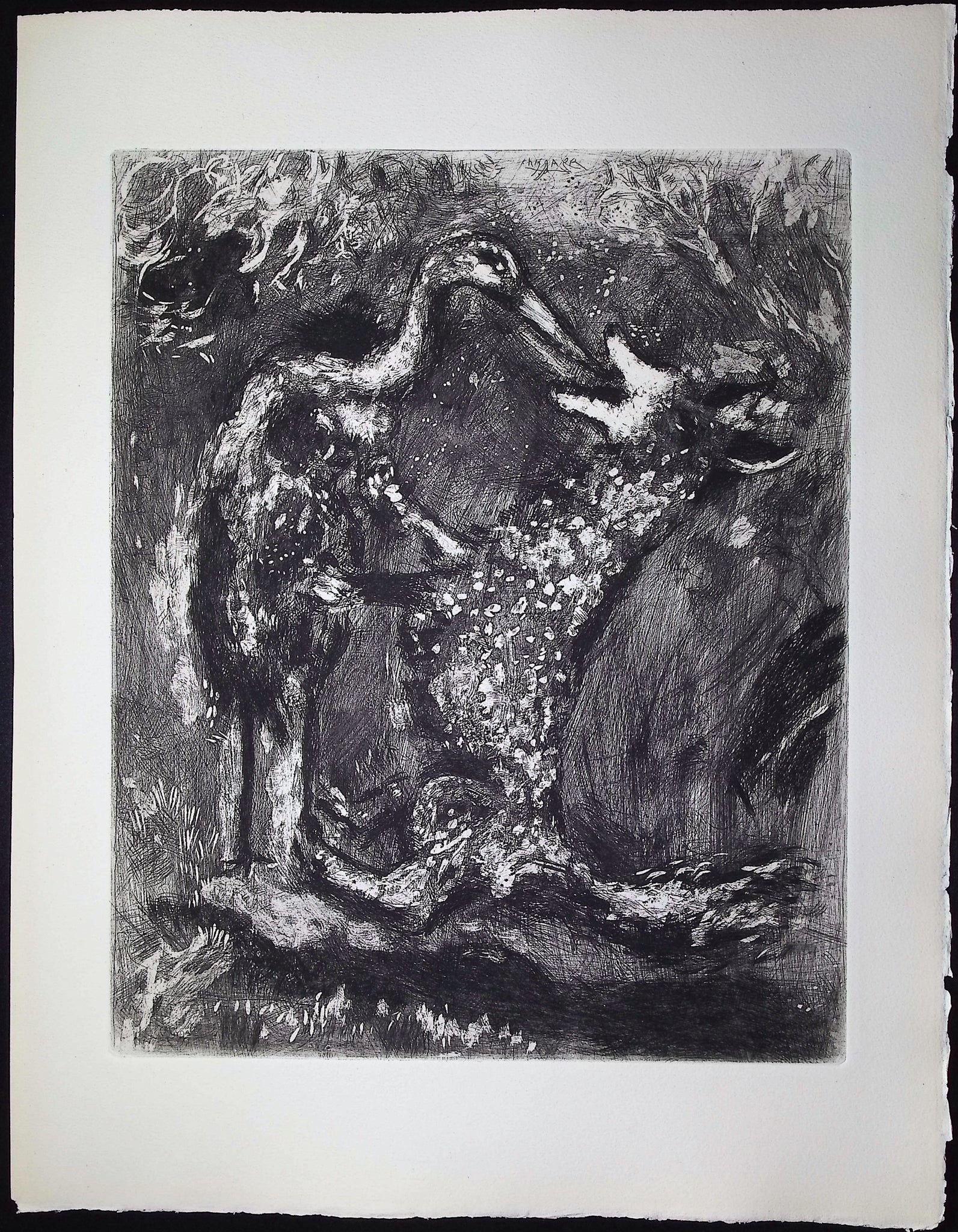 The Wolf and the Stork [Le Loup & la Cigogne]