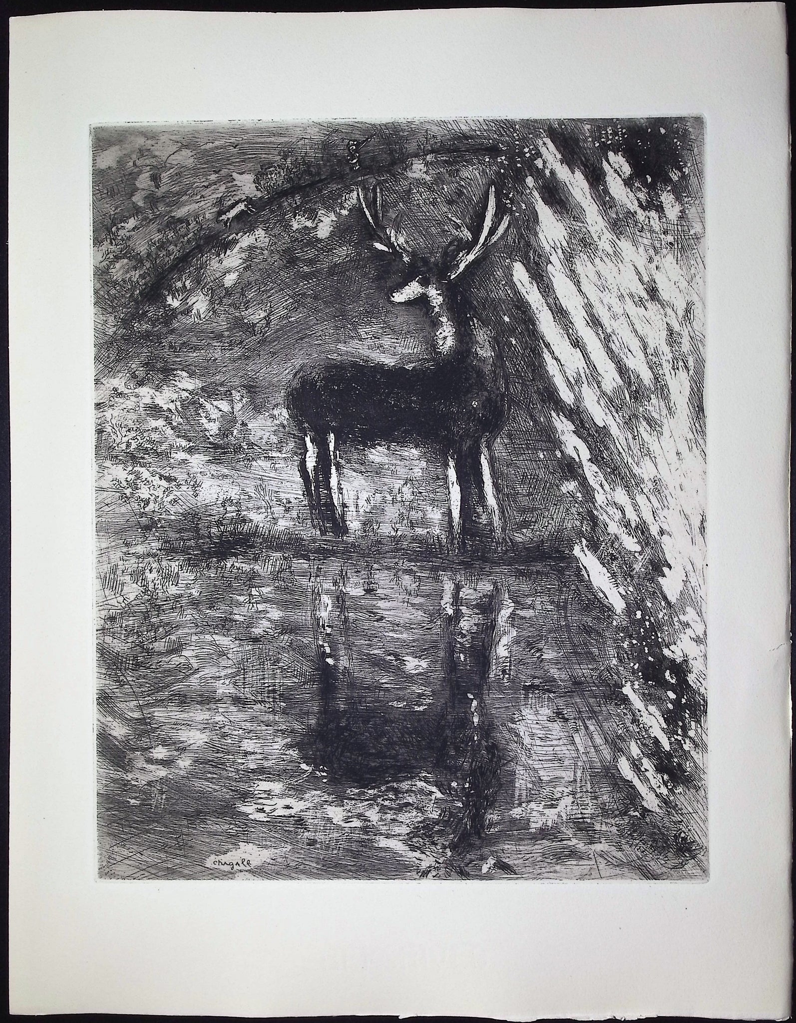 The Stag Seeing Himself in the Water [Le Cerf se voyant dans l'eau]