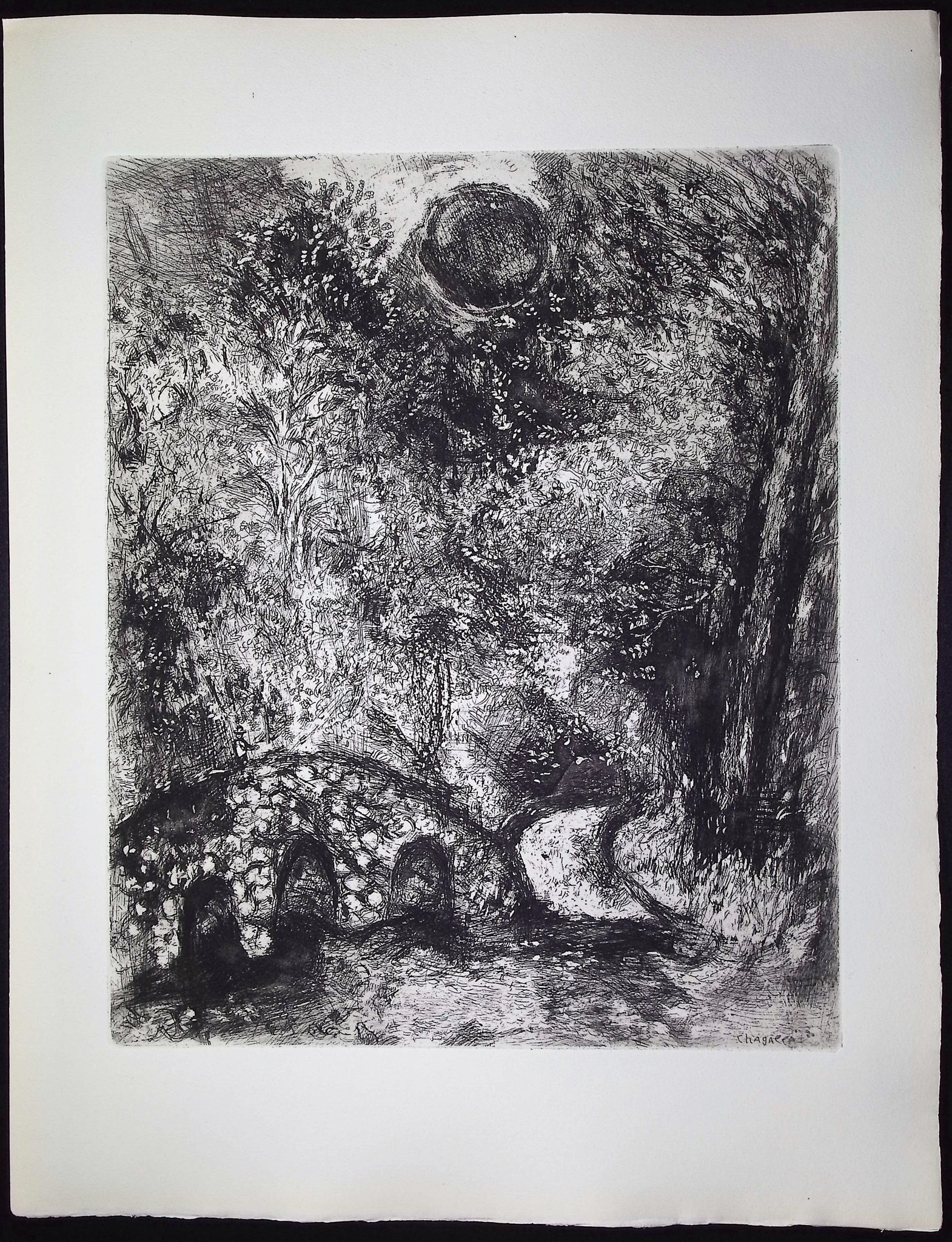 The Sun and the Frogs [Le Soleil & les Grenouilles]