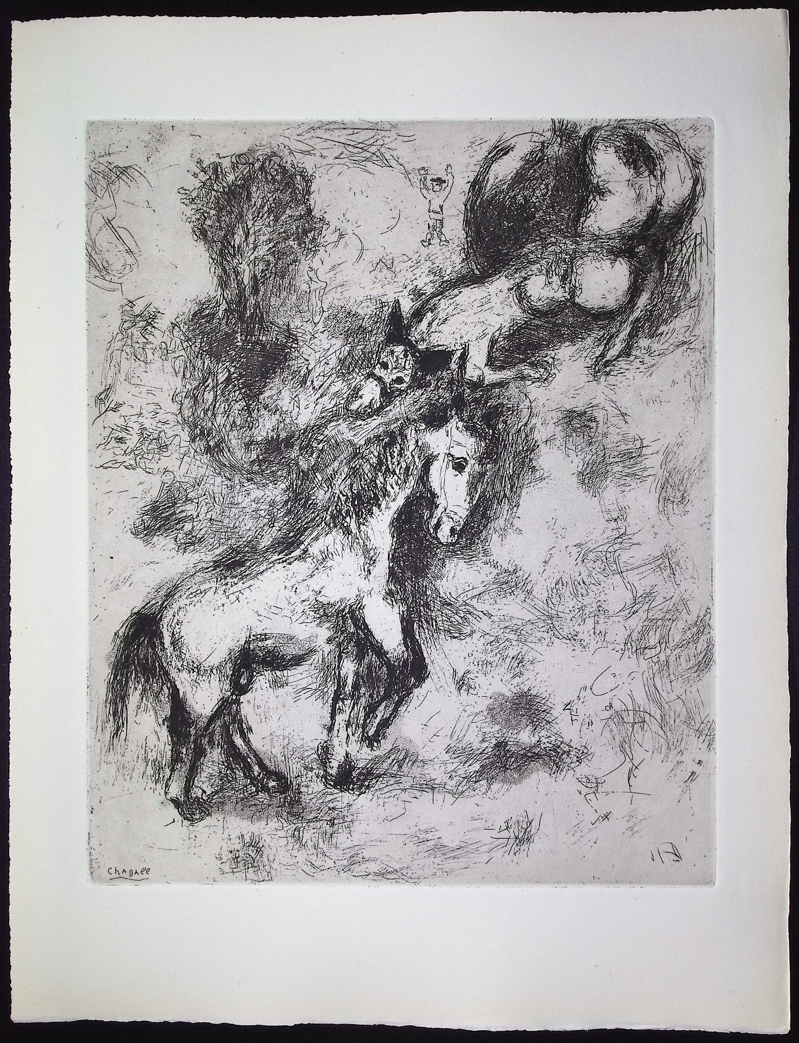 The Horse and the Donkey [Le Cheval & l'Ane]
