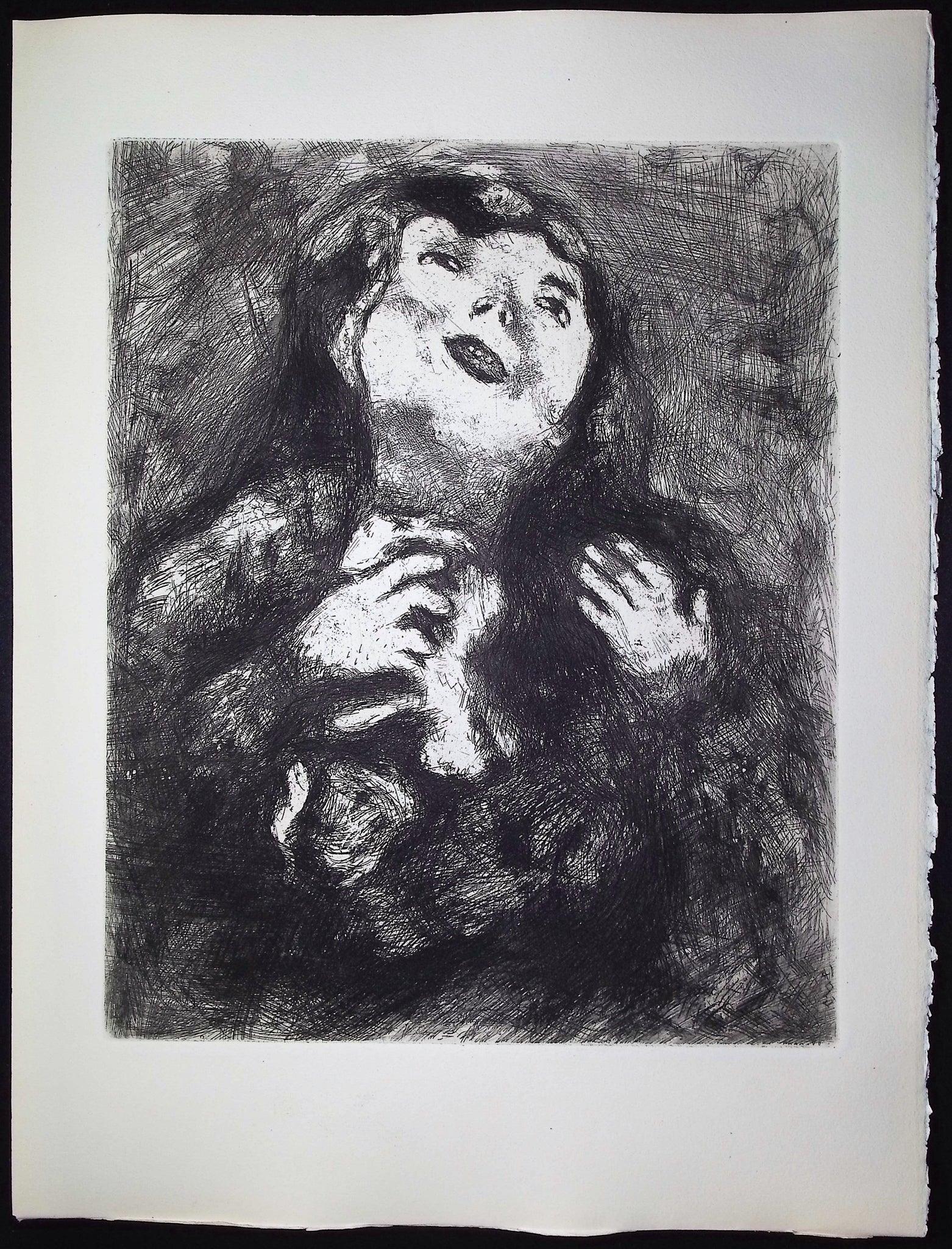 The Young Widow [La Jeune Veuve]