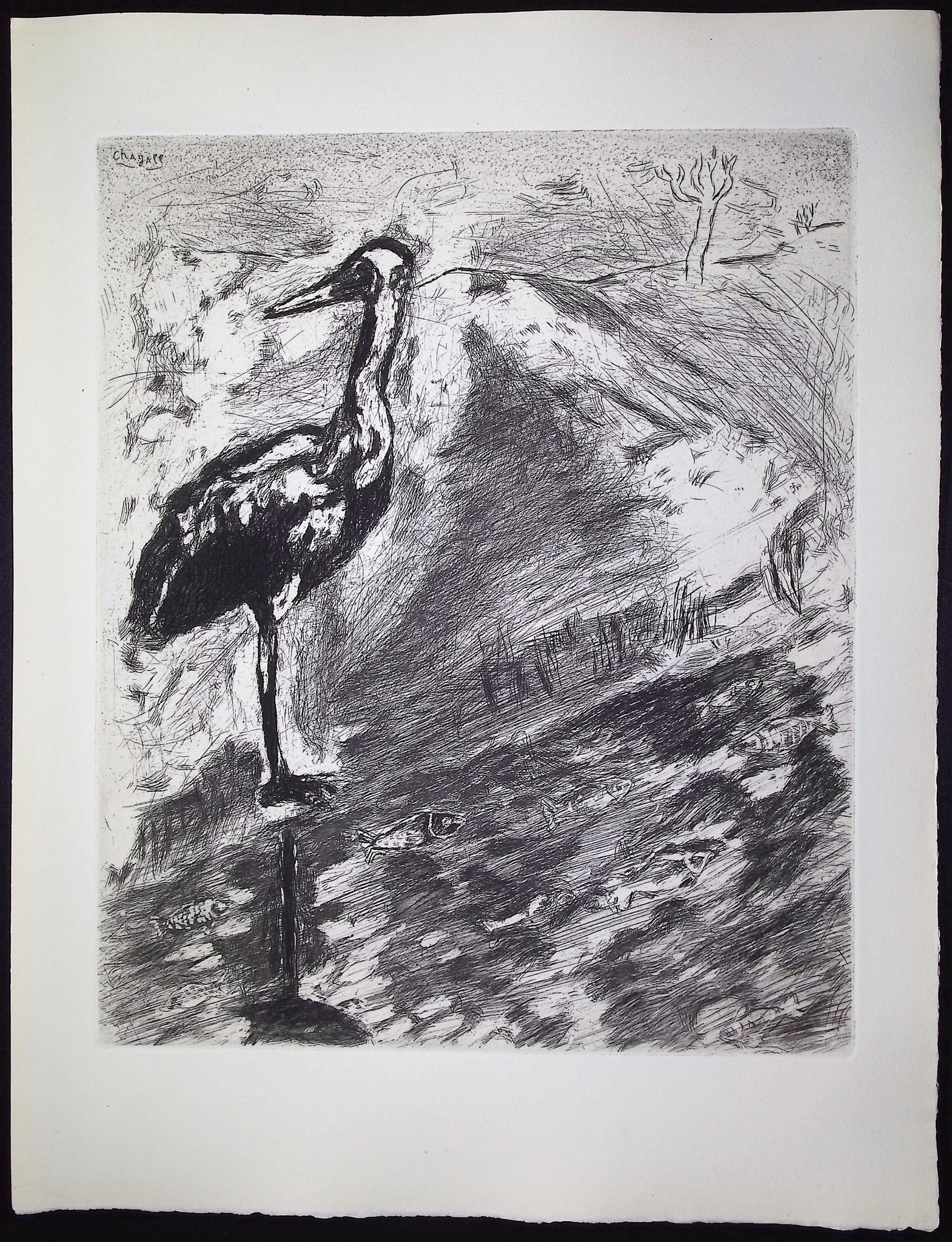 The Heron [Le Heron]