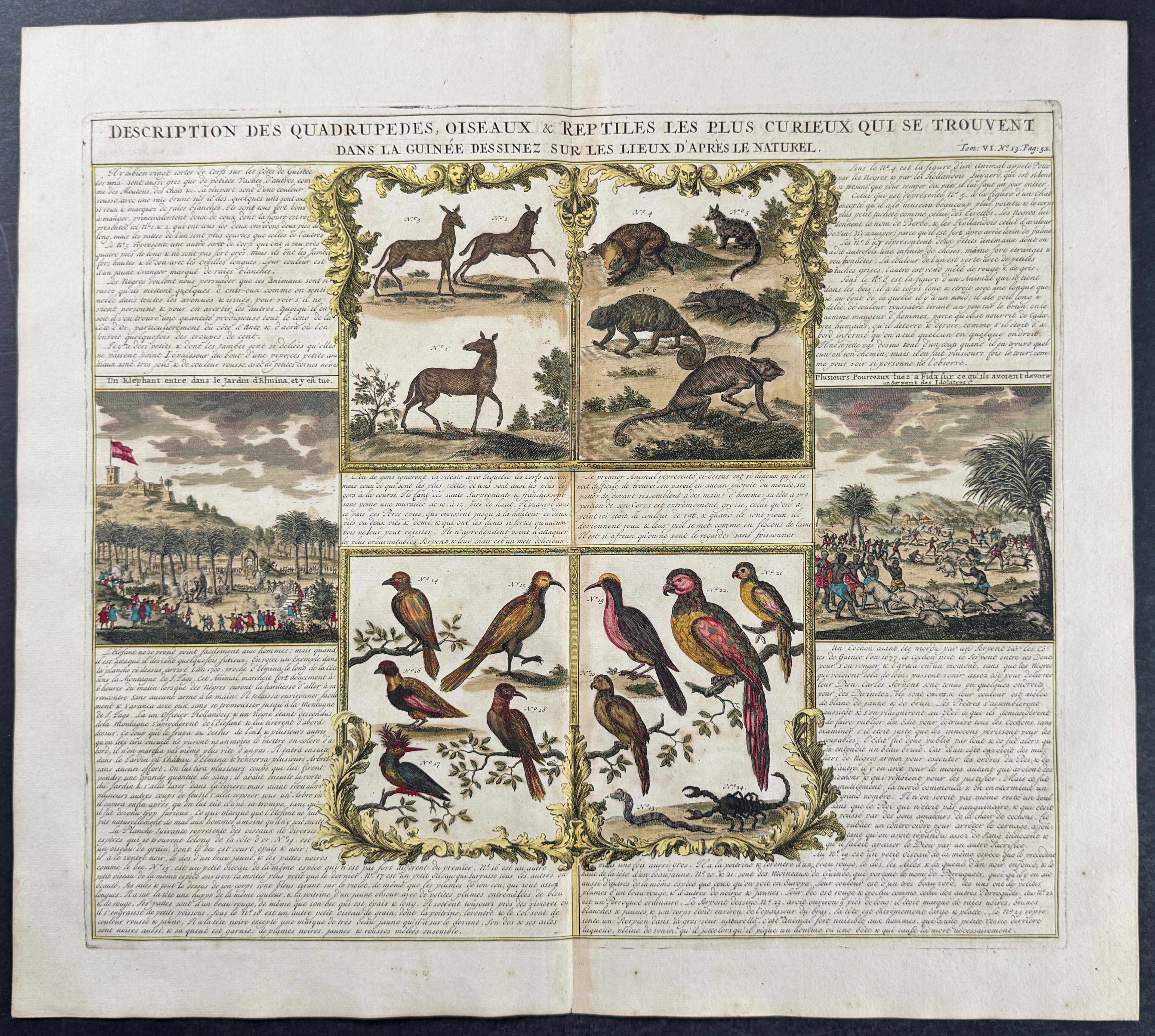 Views & Animals of West Africa