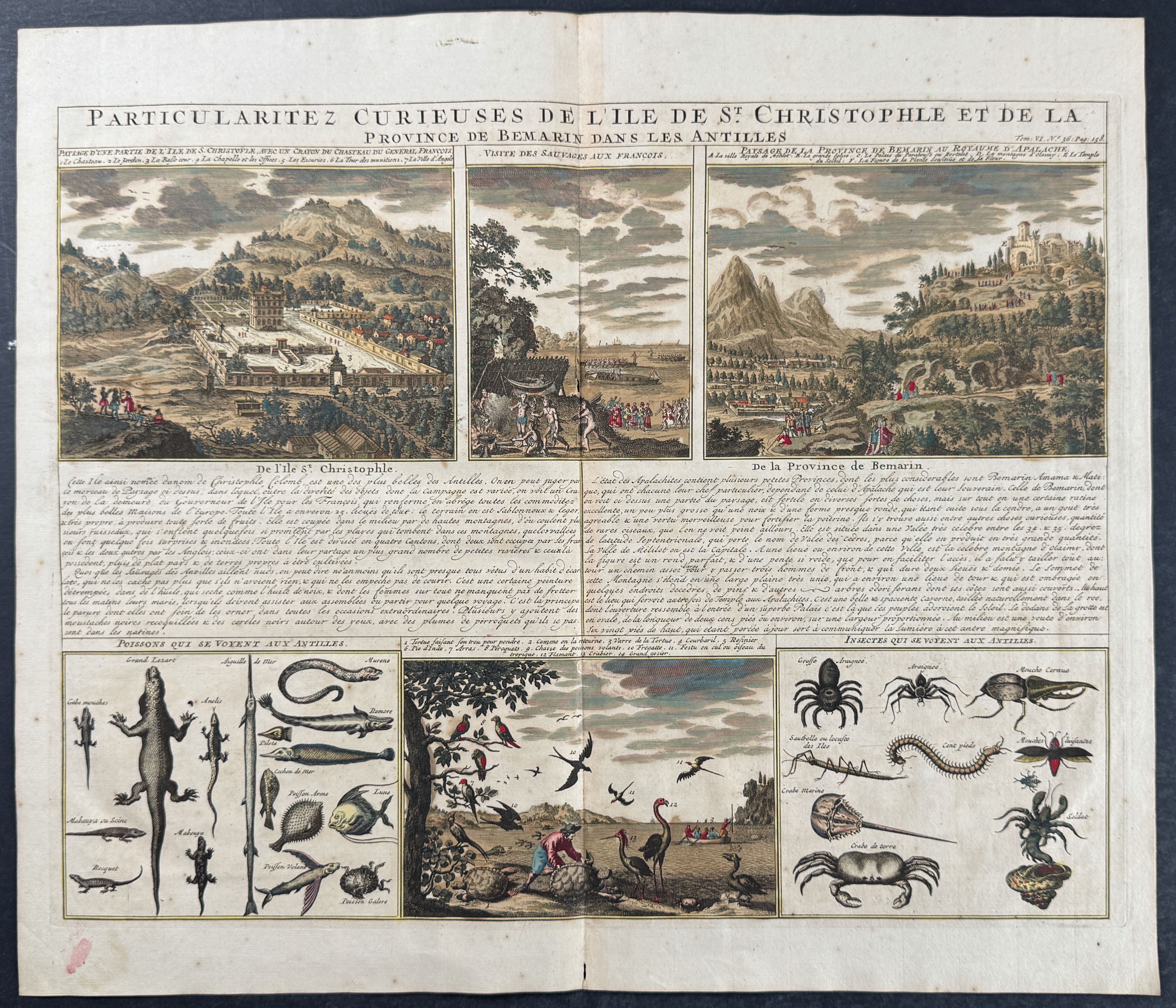 Animals and Views of the Antilles Islands
