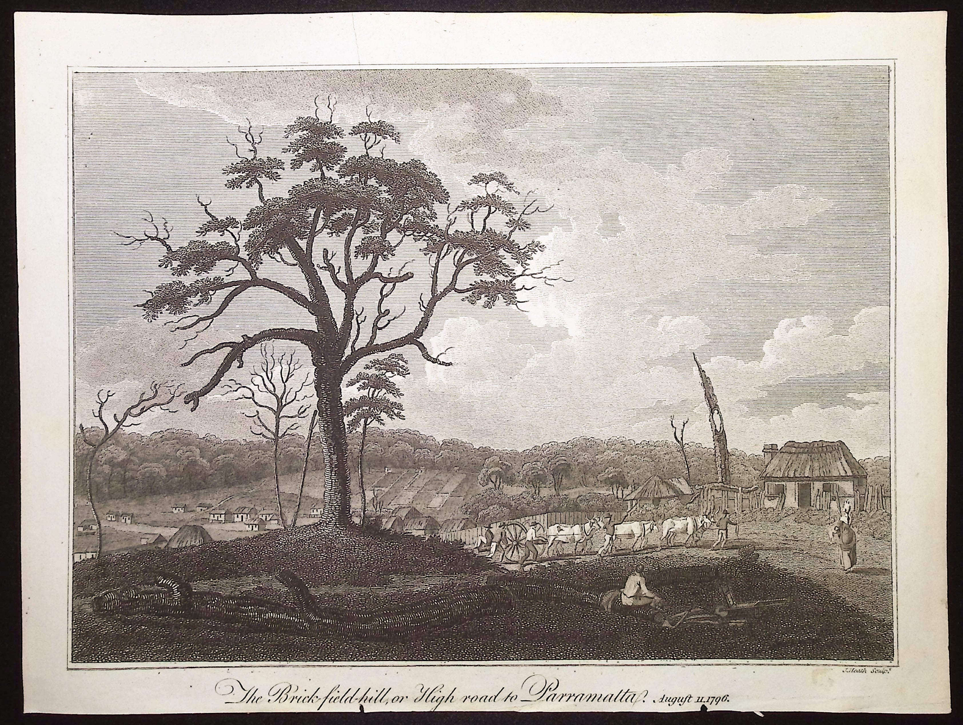 Australia (New Holland): The Brick-field-hill, or High Road to Paramatta
