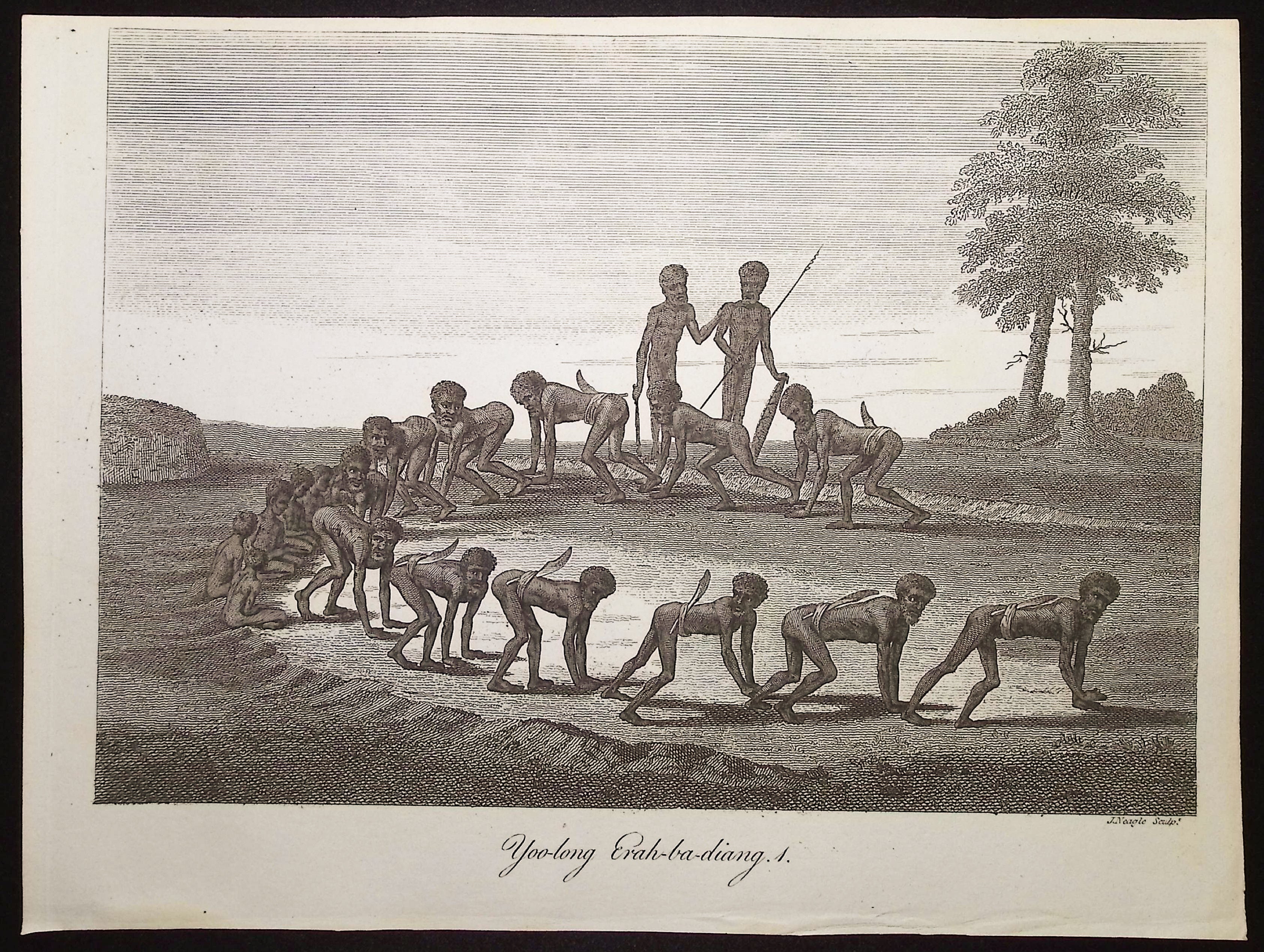 Australia (New Holland): Yoo-long Erah-ba-diang