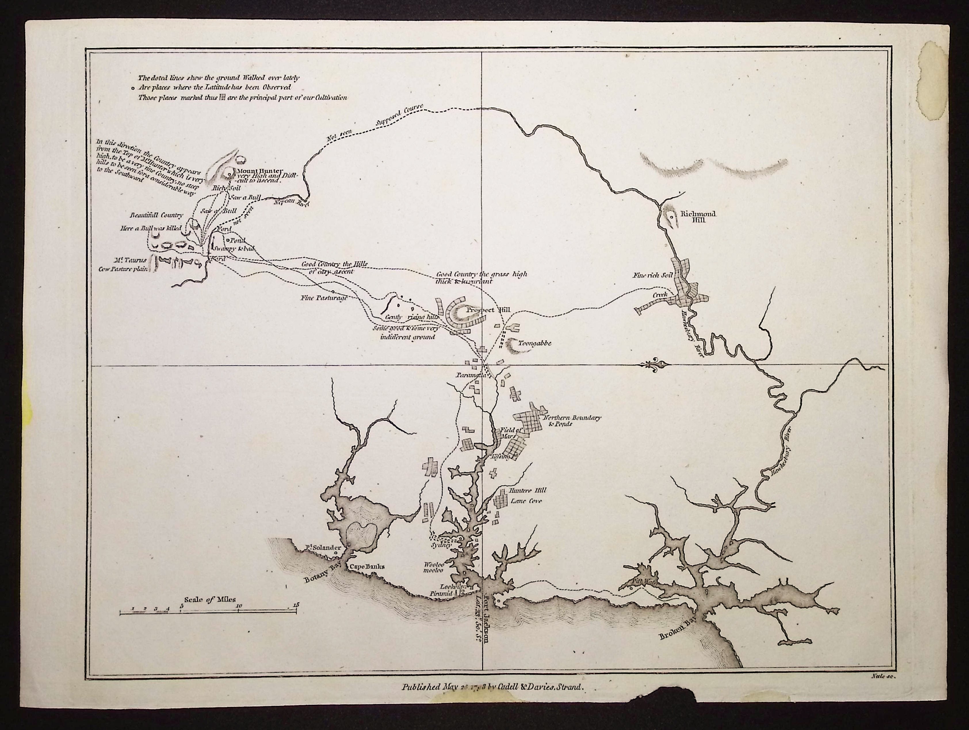 Australia (New Holland): Map of New South Wales Colony