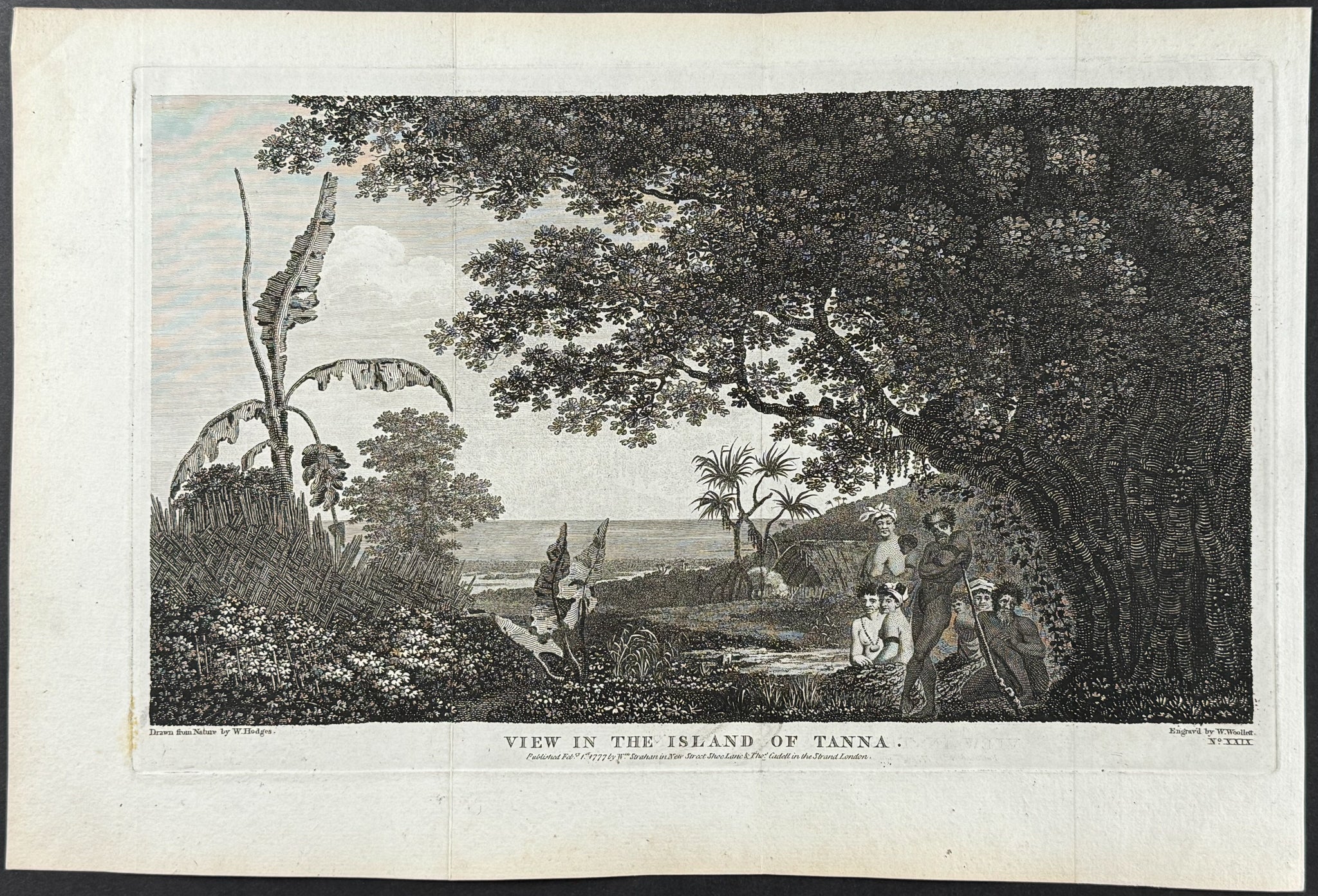 View In The Island of Tanna