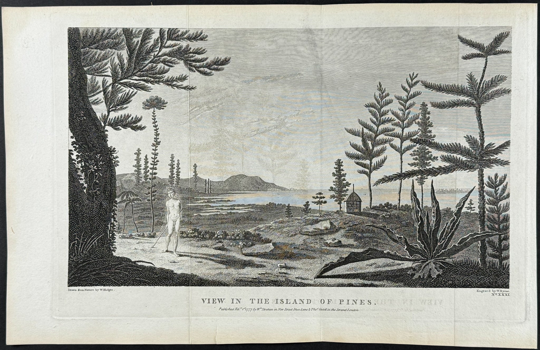 View in the Island of Pines