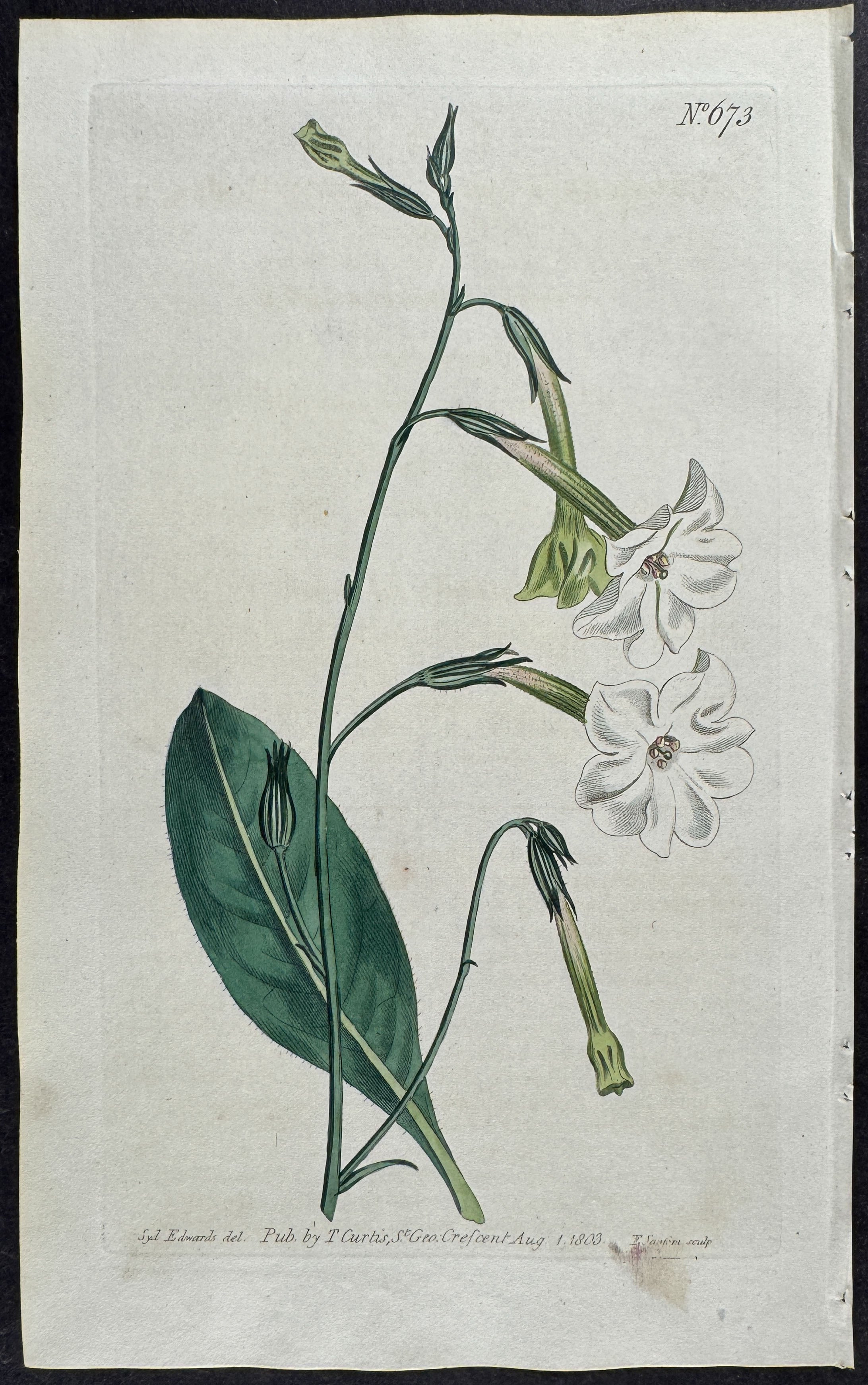 New-Holland Tobacco