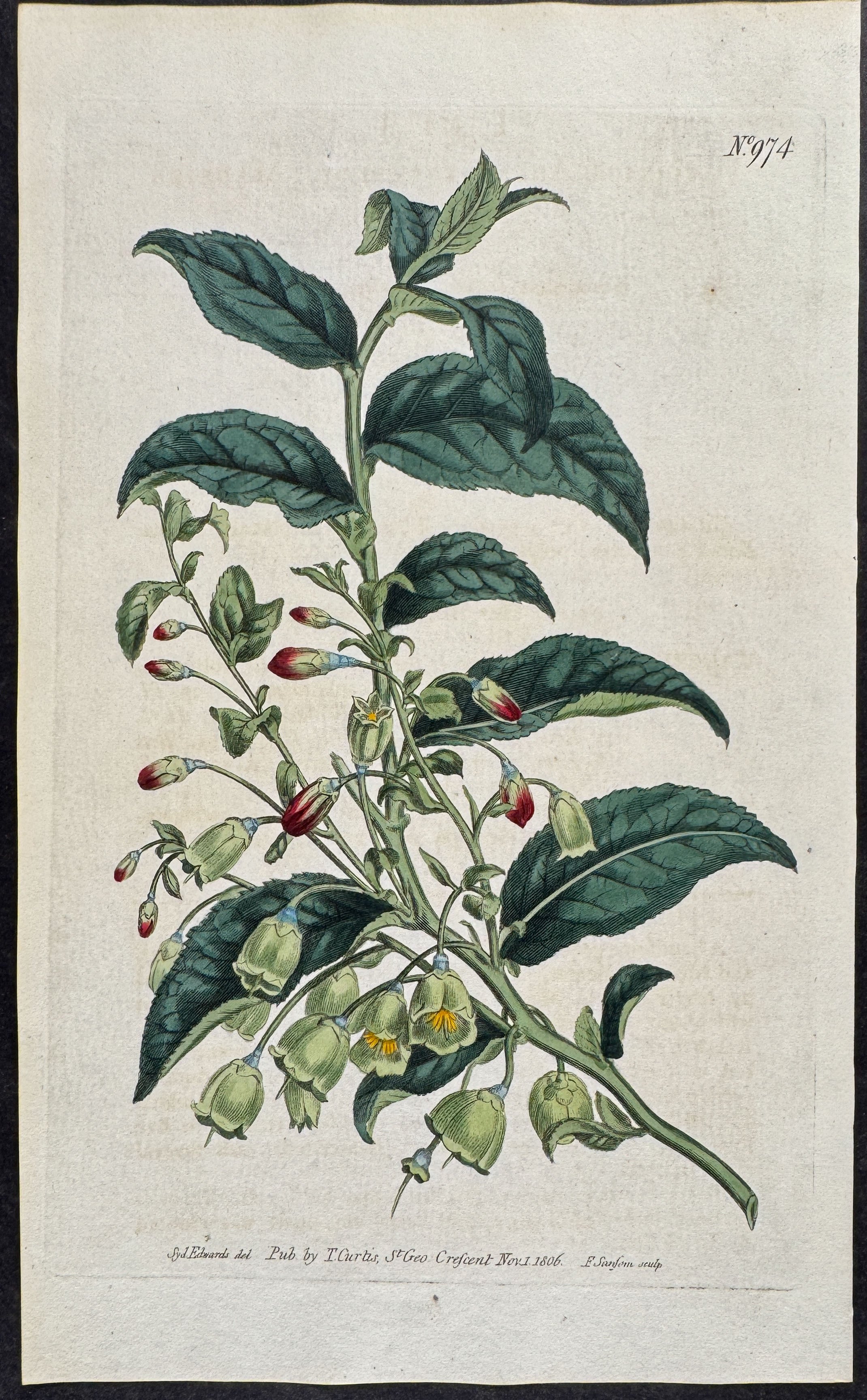 Maderia Whotrle-Berry