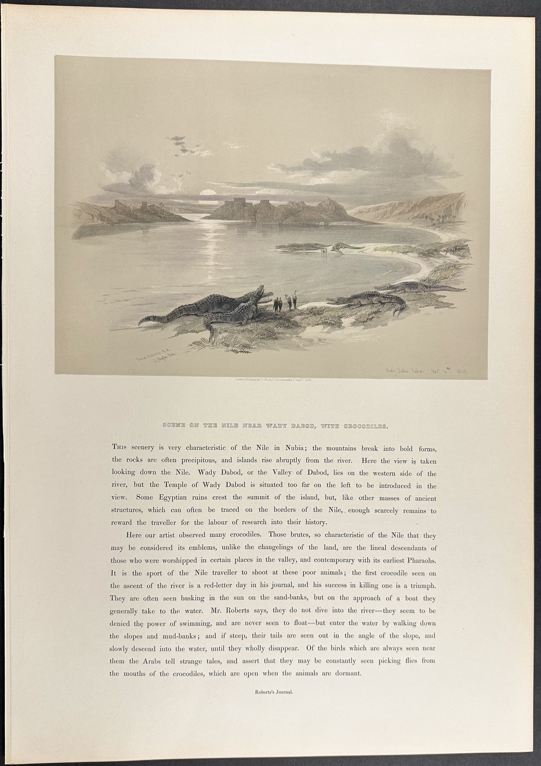 Scene on the Nile near Wady Dabod, with Crocodiles