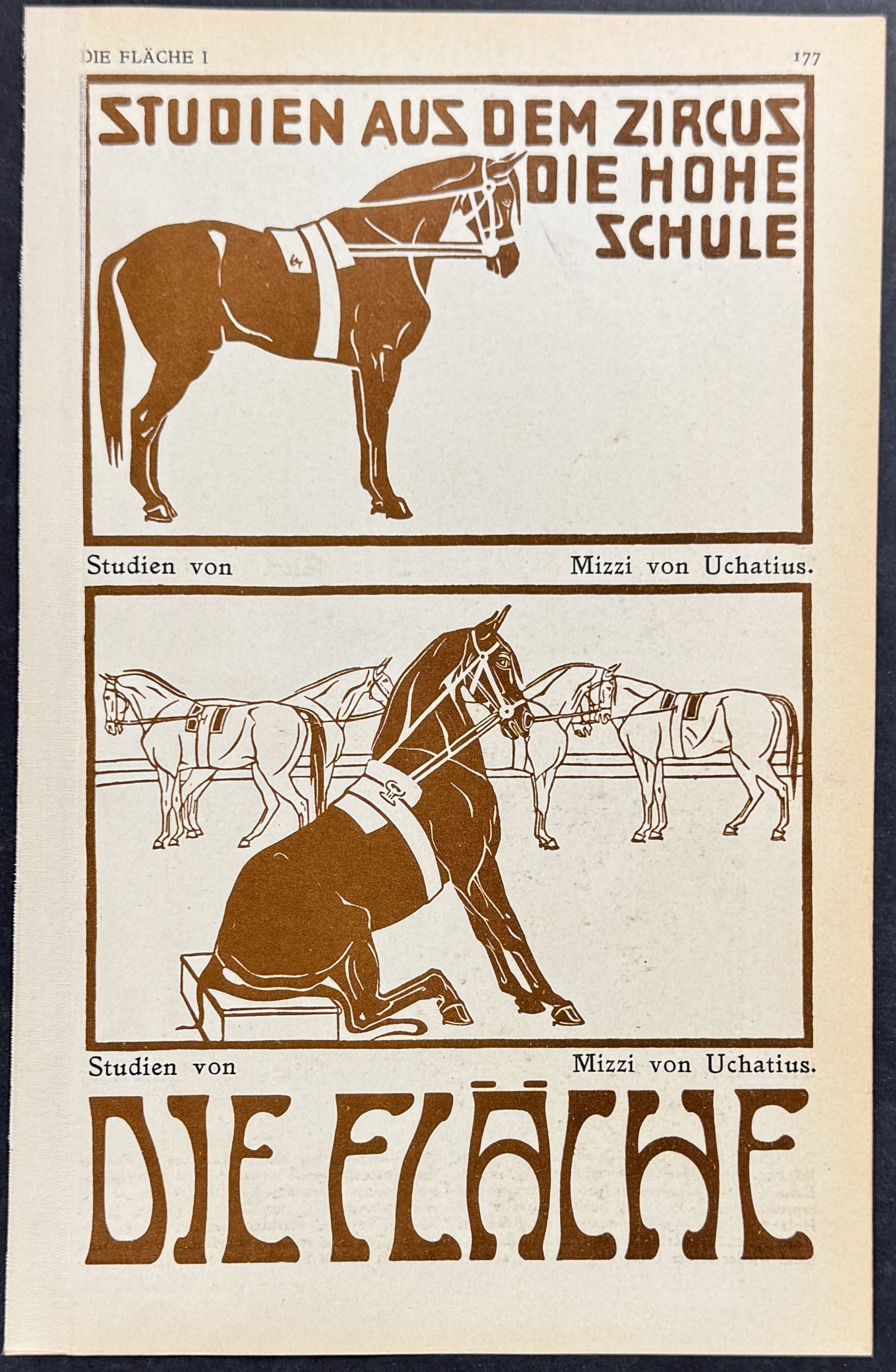 Horses - Art Pochoir Illustrations by Mizzi von Uchatius