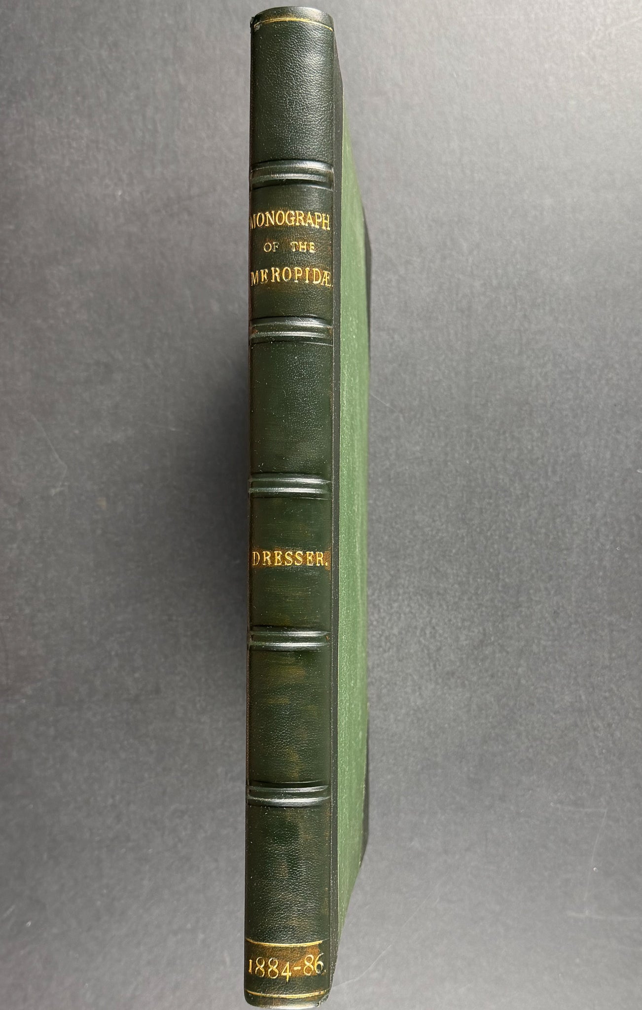 A Monograph of the Meropidae