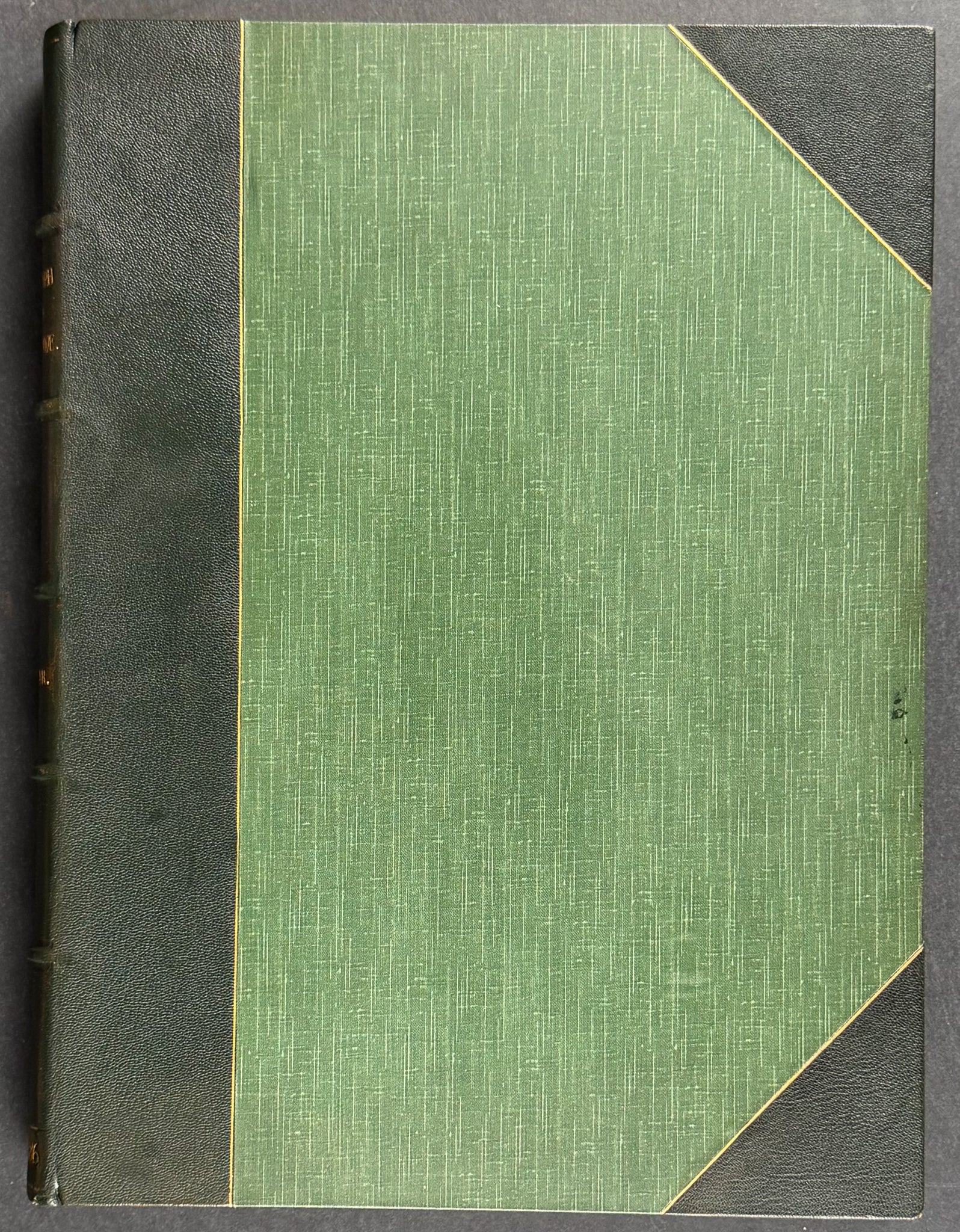 A Monograph of the Meropidae