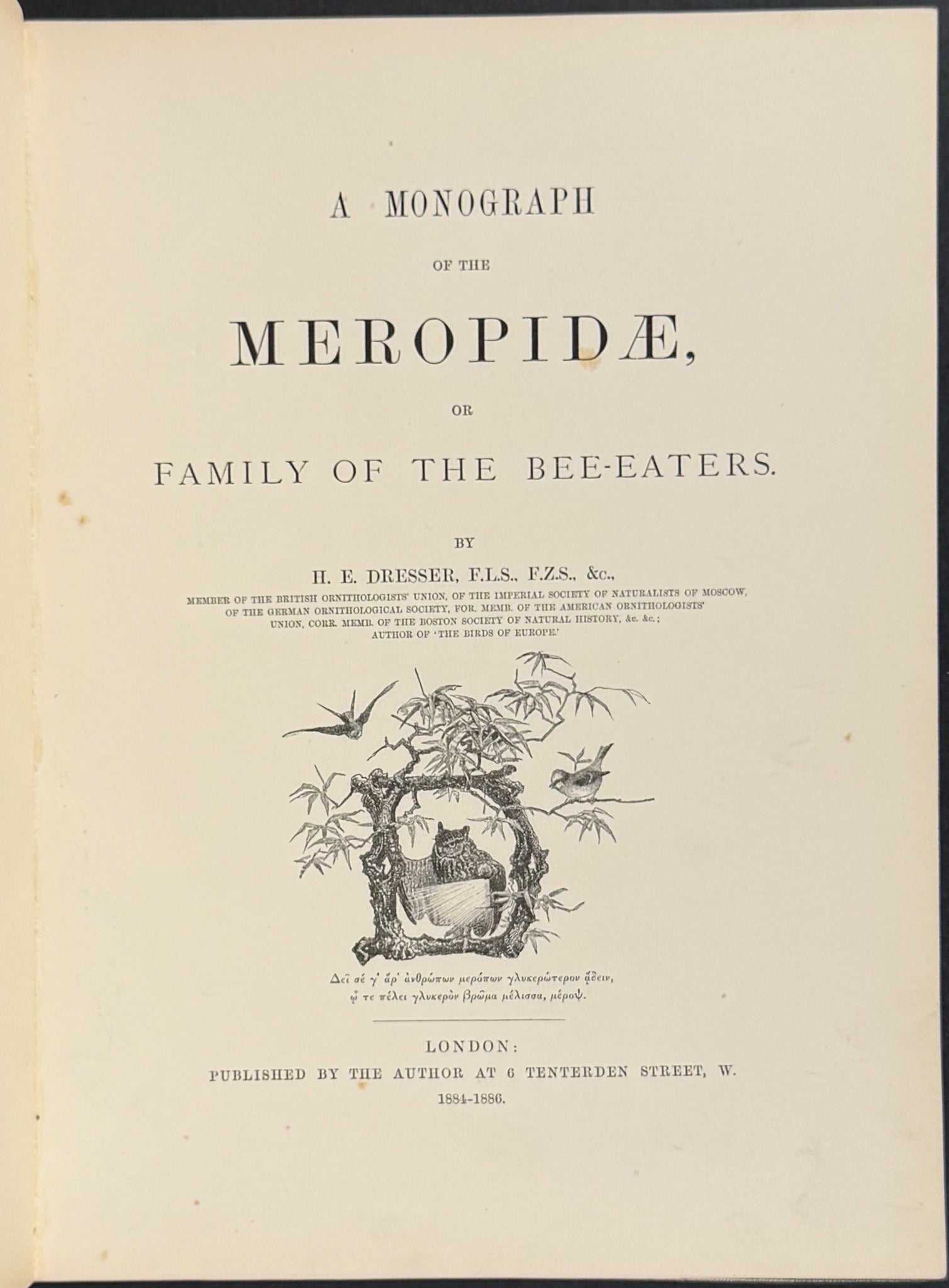 A Monograph of the Meropidae