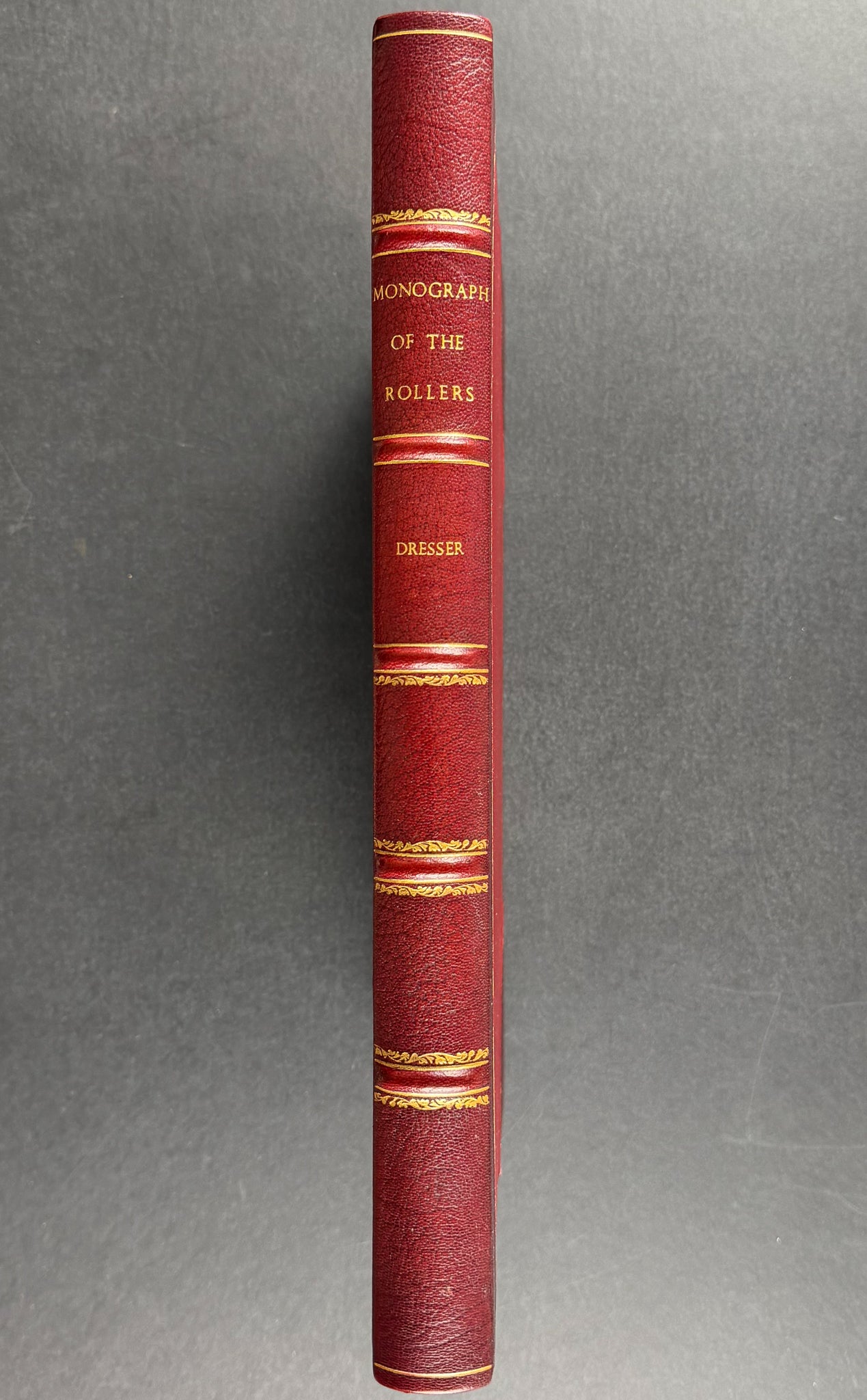 A Monograph of the Coraciidae or Family of the Rollers