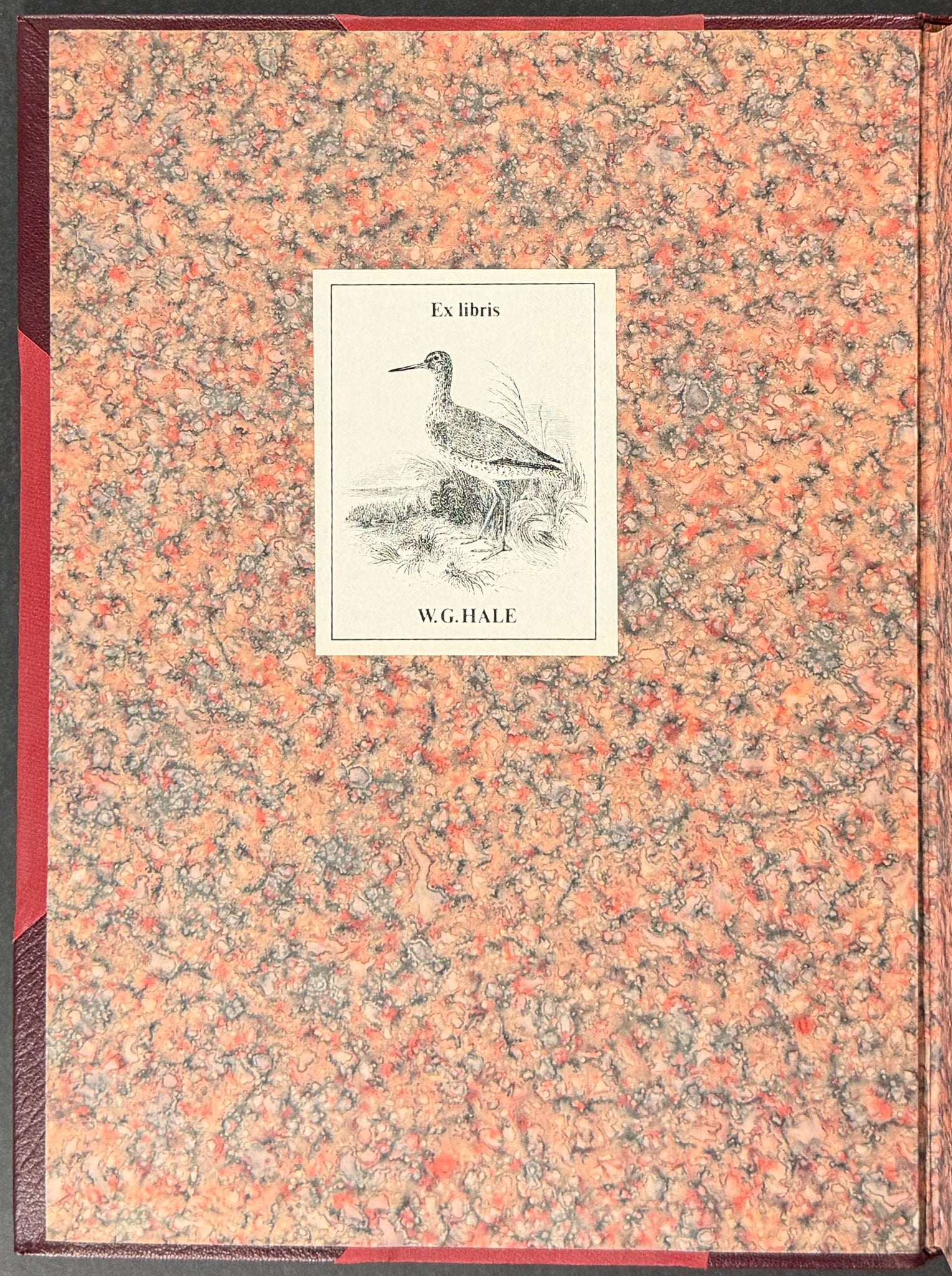 A Monograph of the Coraciidae or Family of the Rollers