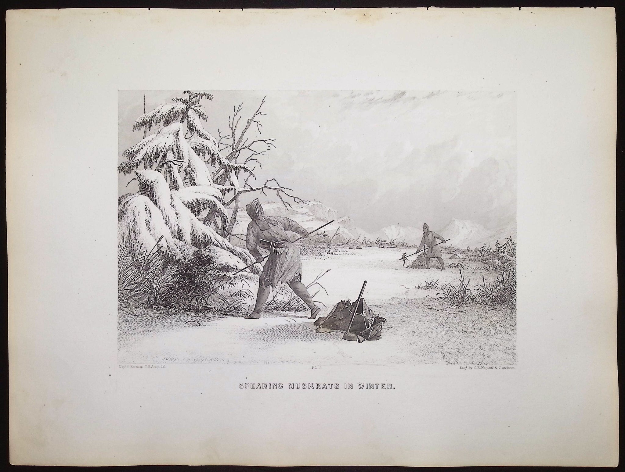 Spearing Muskrats in Winter