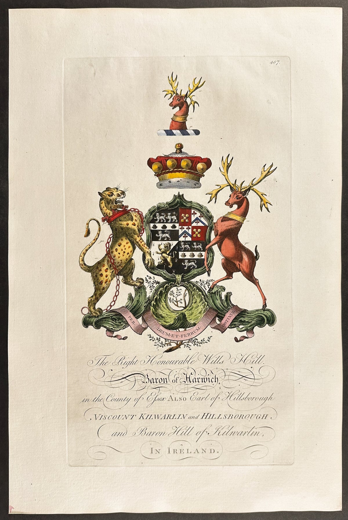 Family Crest or Shield of Wills Hill