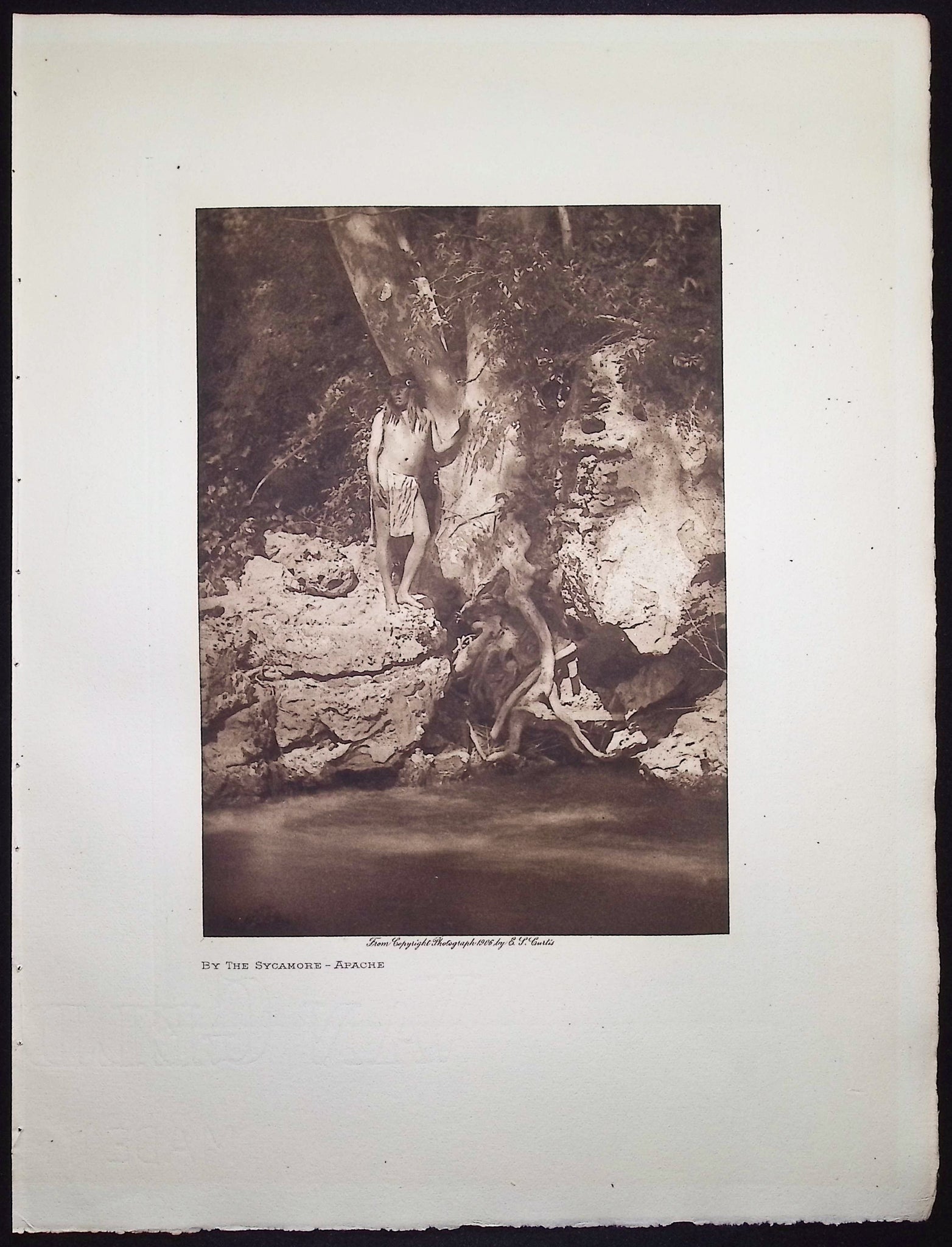 By the Sycamore - Apache