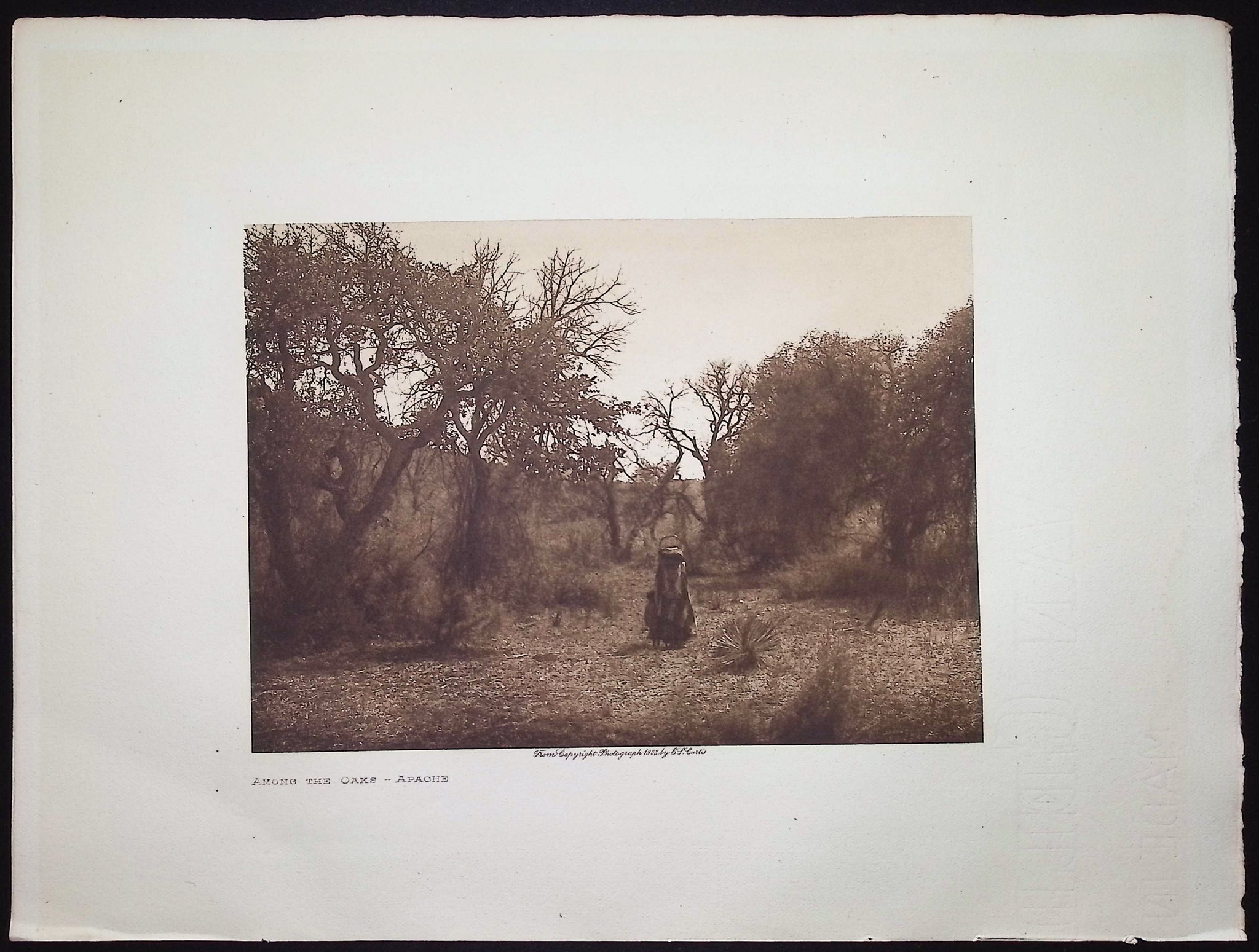 Among the Oaks - Apache