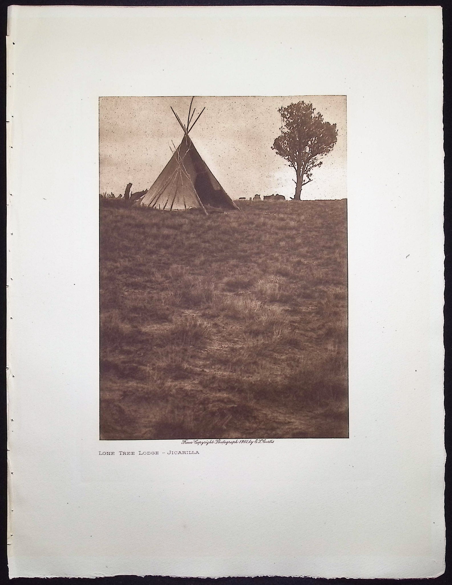 Lone Tree Lodge - Jicarilla
