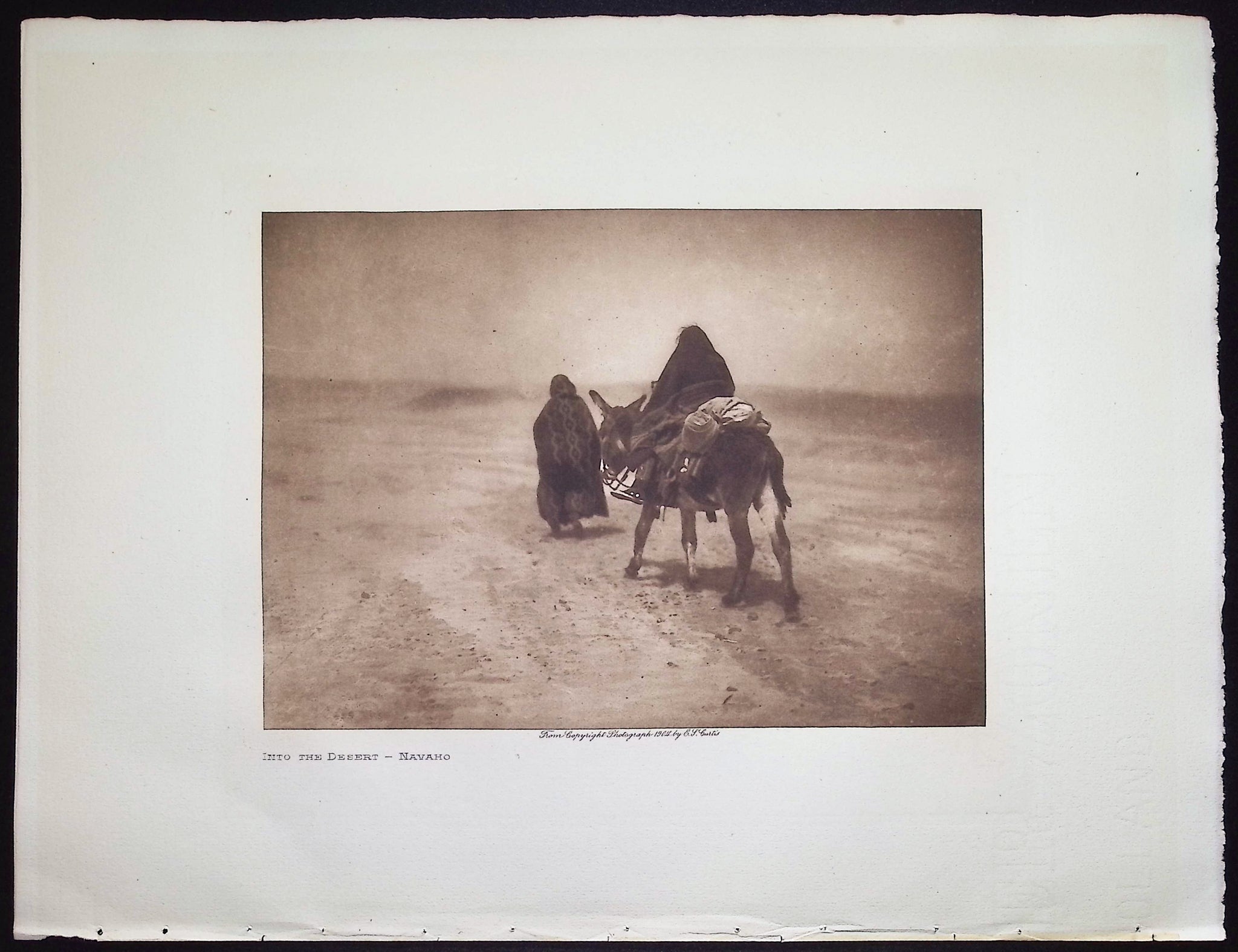 Into the Desert - Navaho