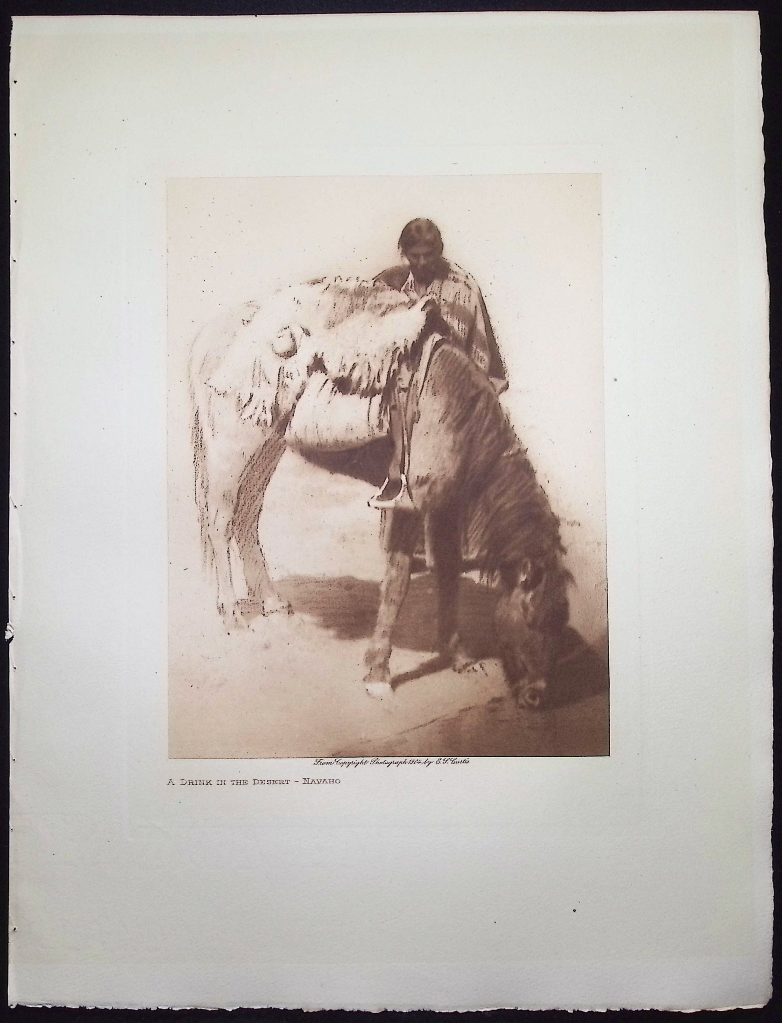 A Drink in the Desert - Navaho