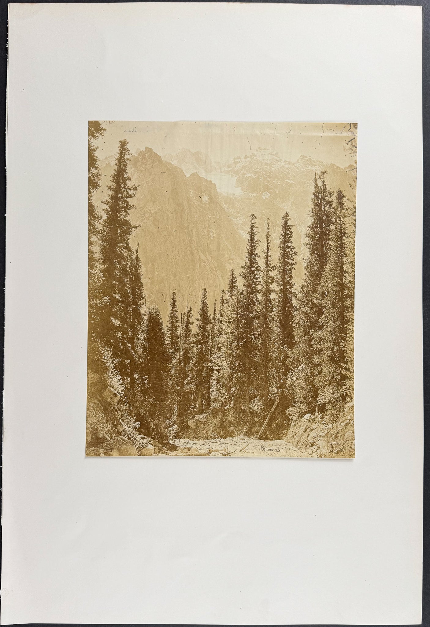 Forest & Mountains