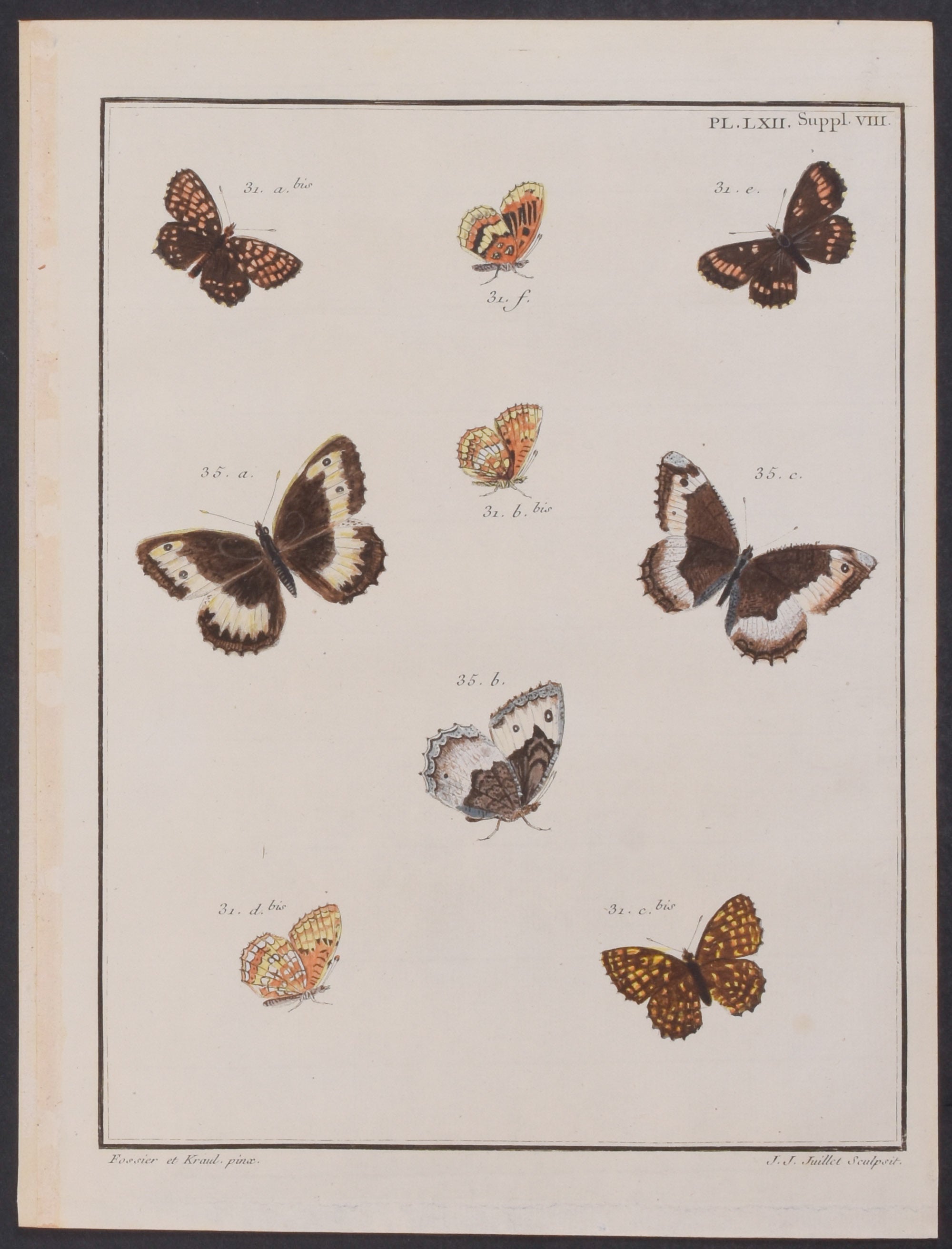 Butterflies