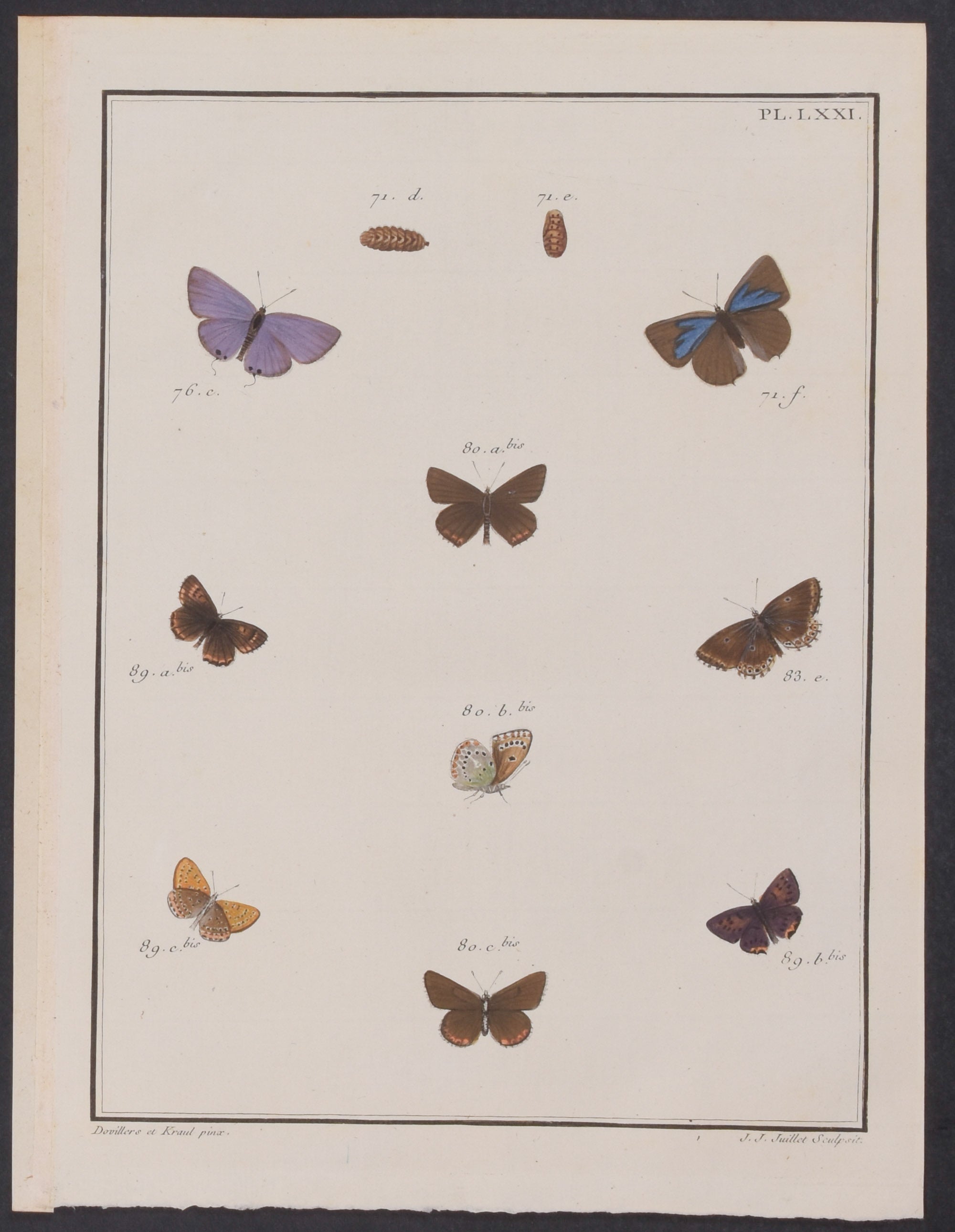 Butterflies