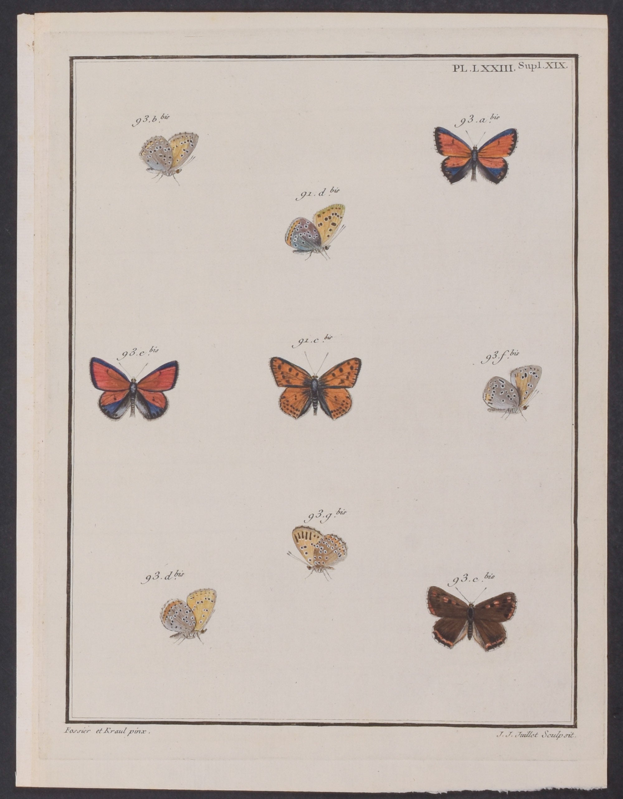 Butterflies