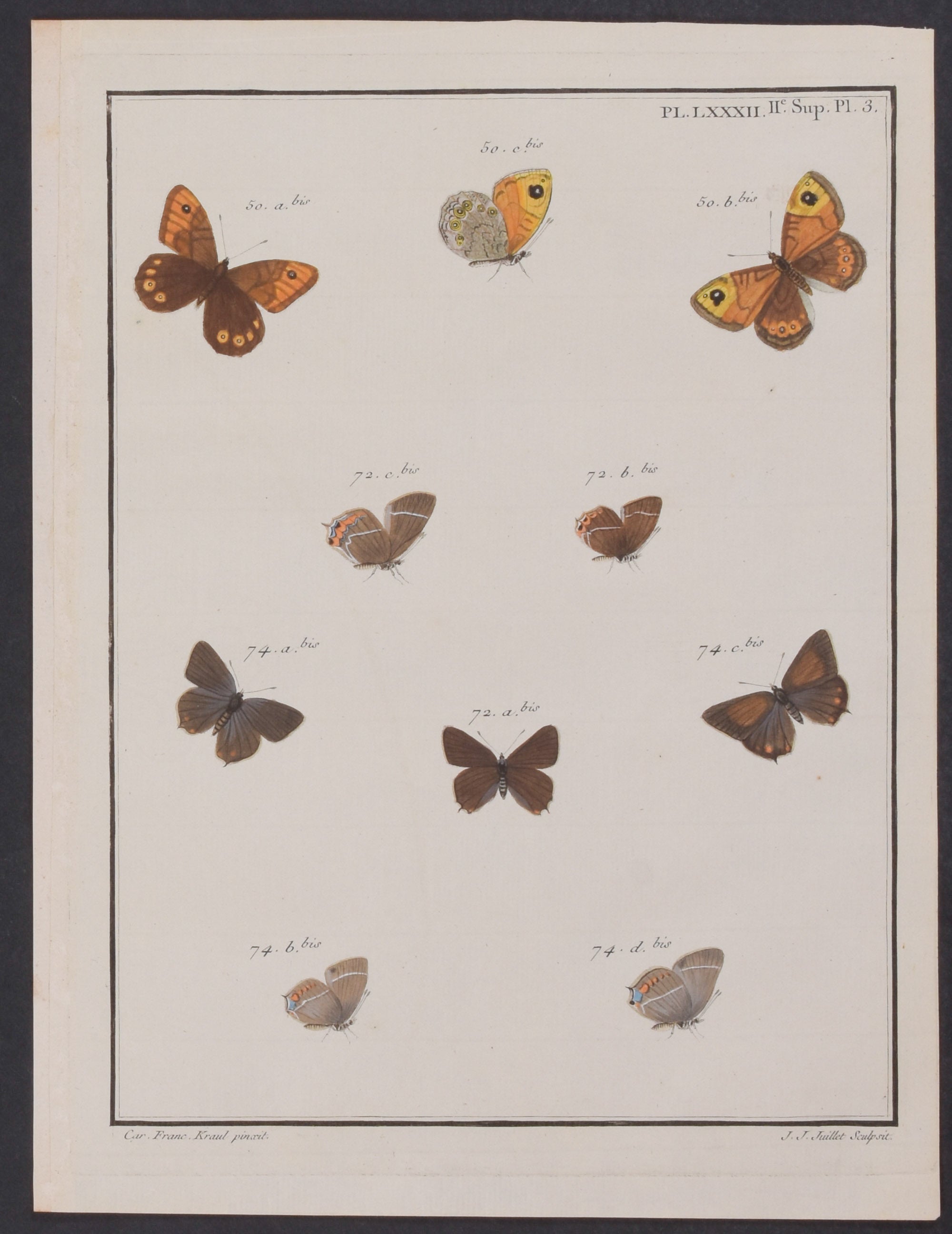 Butterflies